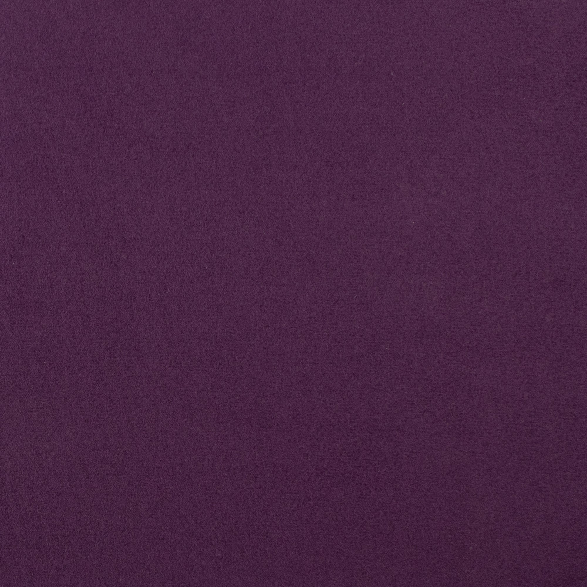 Jacketing - KASHMIR - 005 - Eggplant
