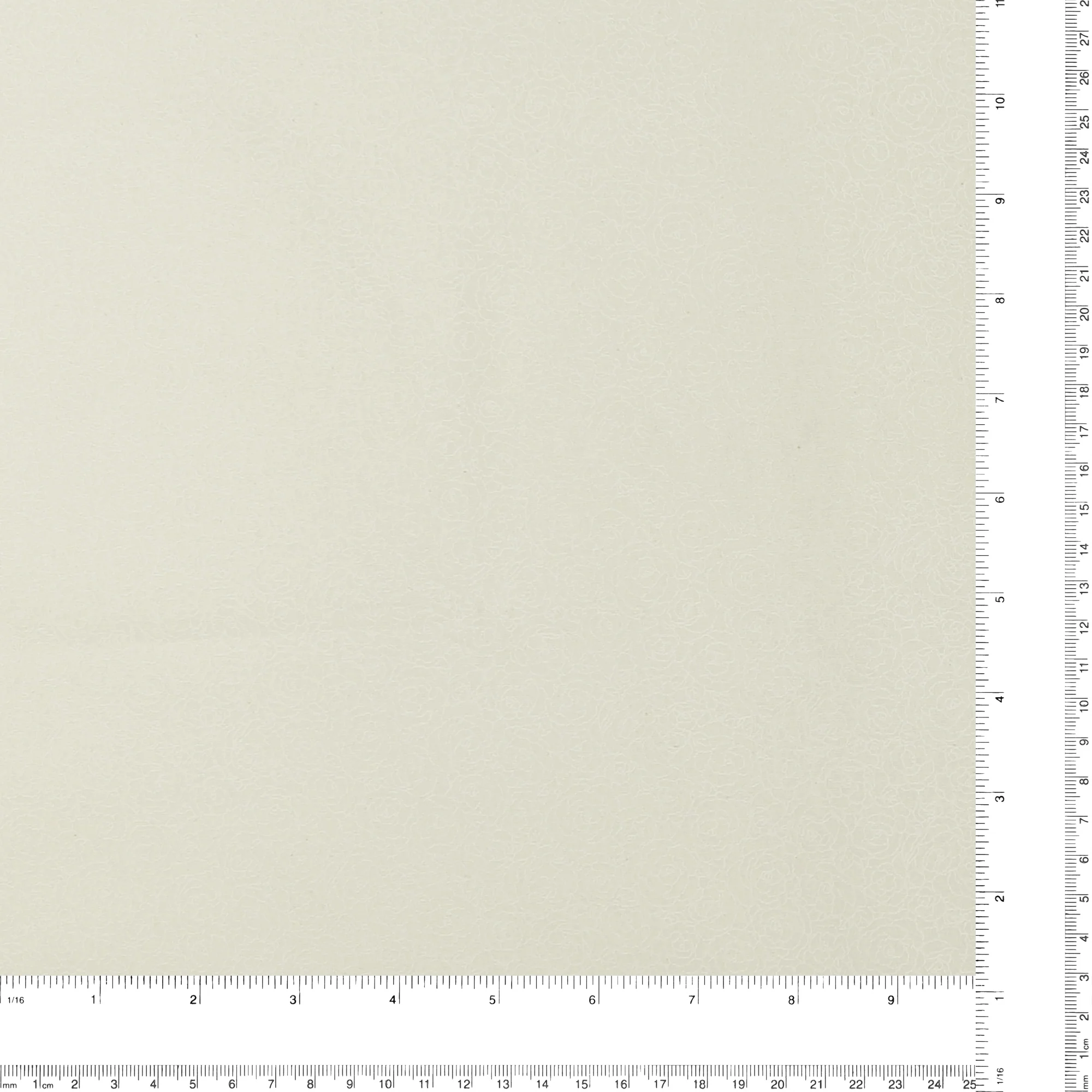 Lacquer print - DAISY MAY - Rosebud - 126 - Ivory - Image 3