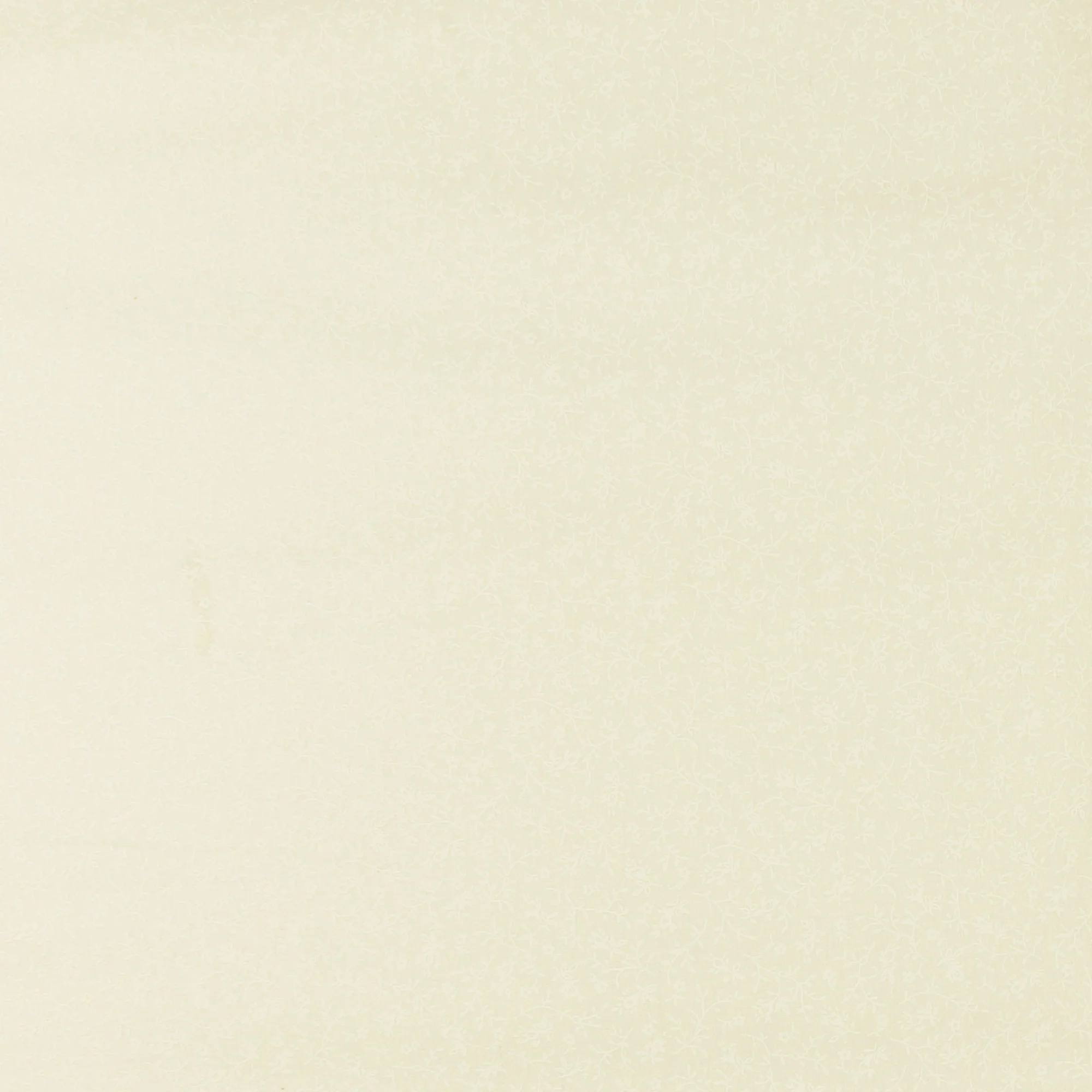 Lacquer print - DAISY MAY - Viney - 121 - White