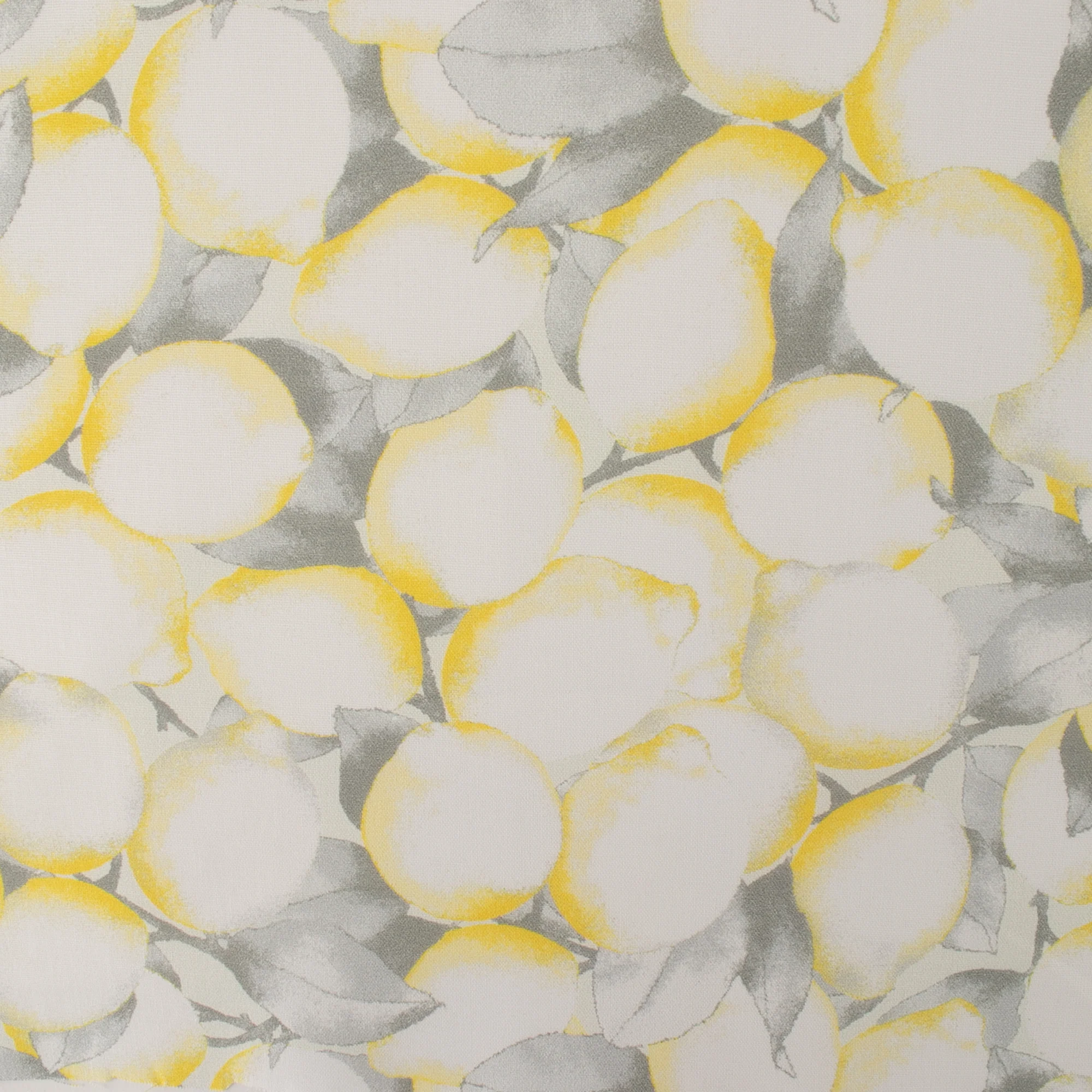 LEMON GROVE Printed Cotton - Lemons - White