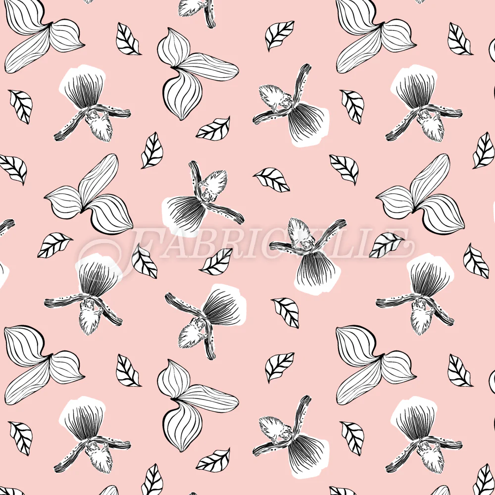 Line Orchid