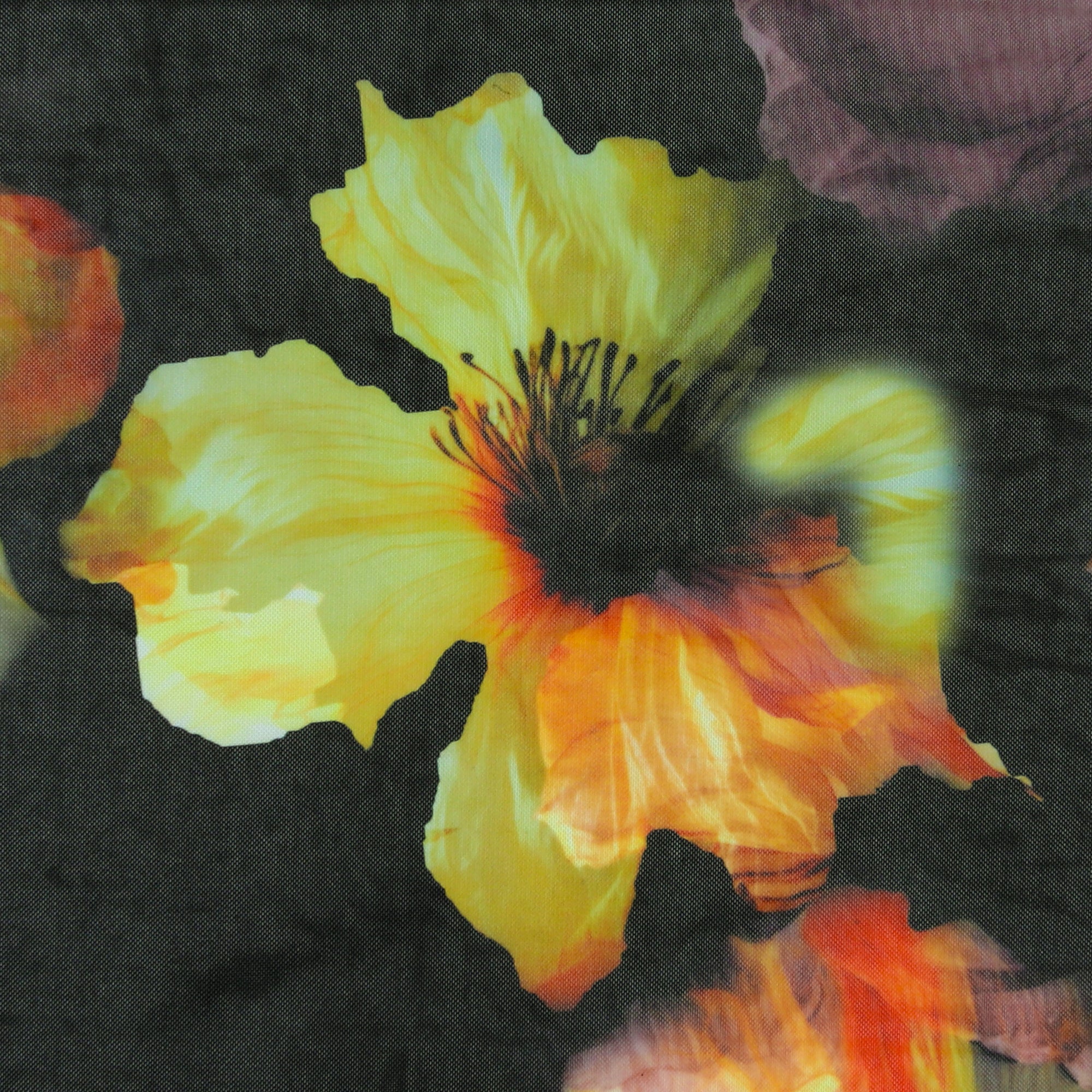 Mesh Print - AUTUMN EMBERS - 002 - Black