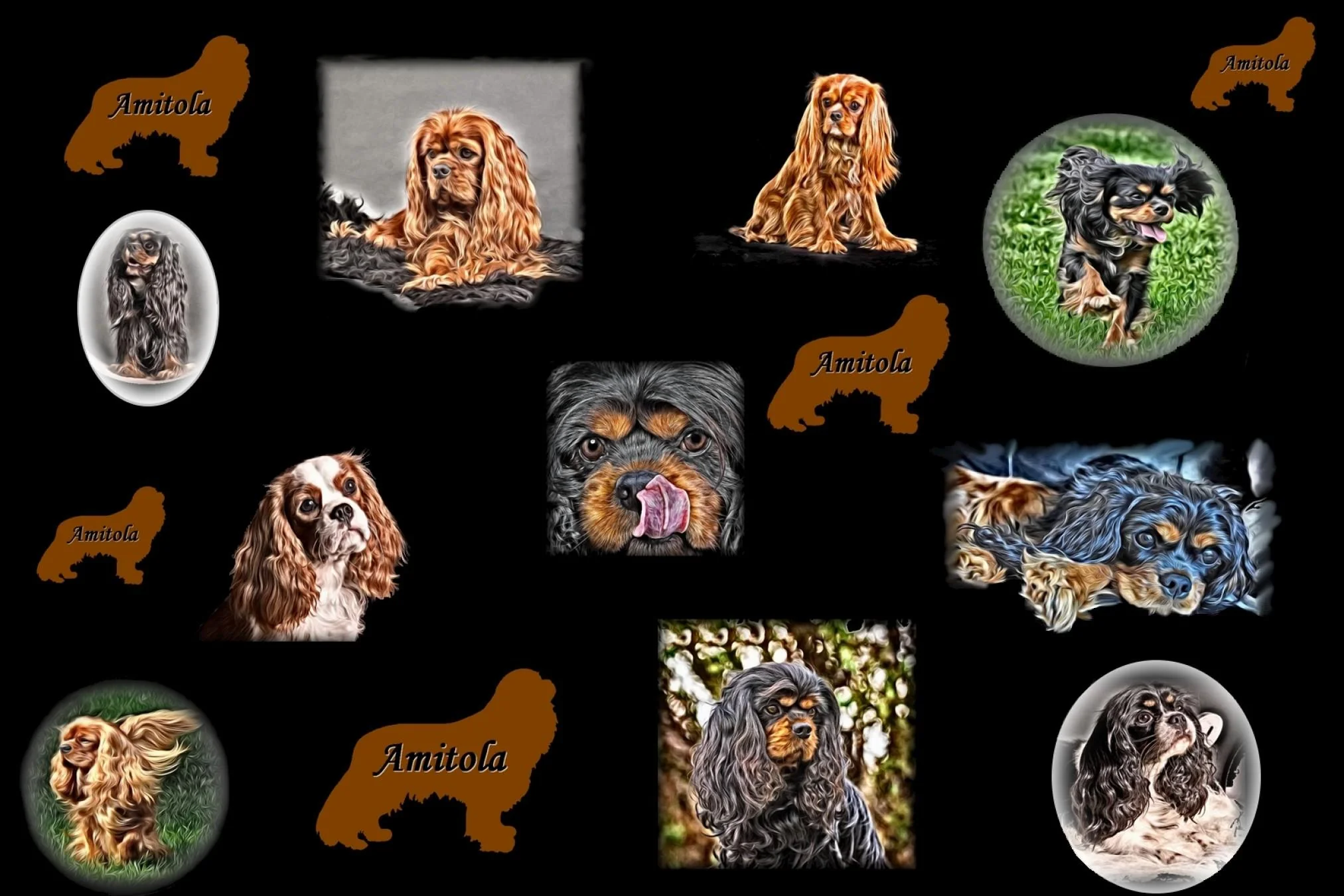 montage2