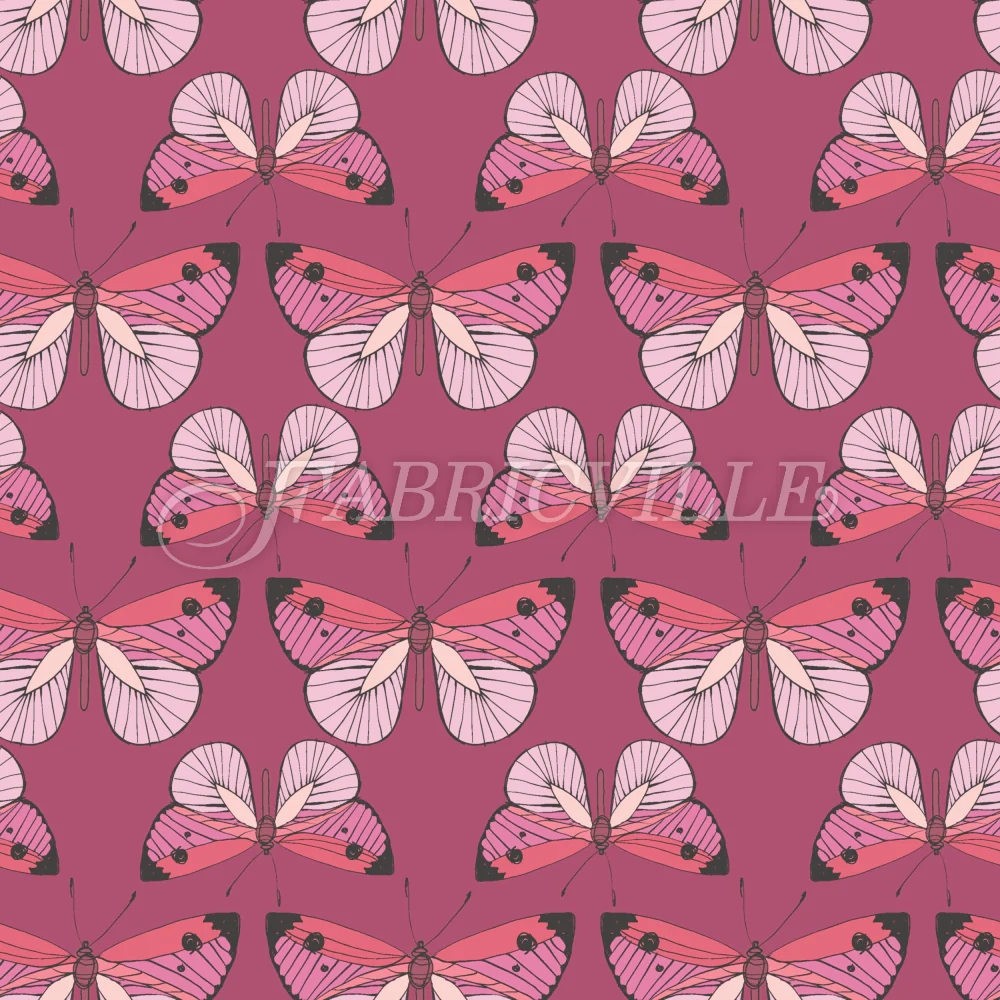My Favourite Butterflies