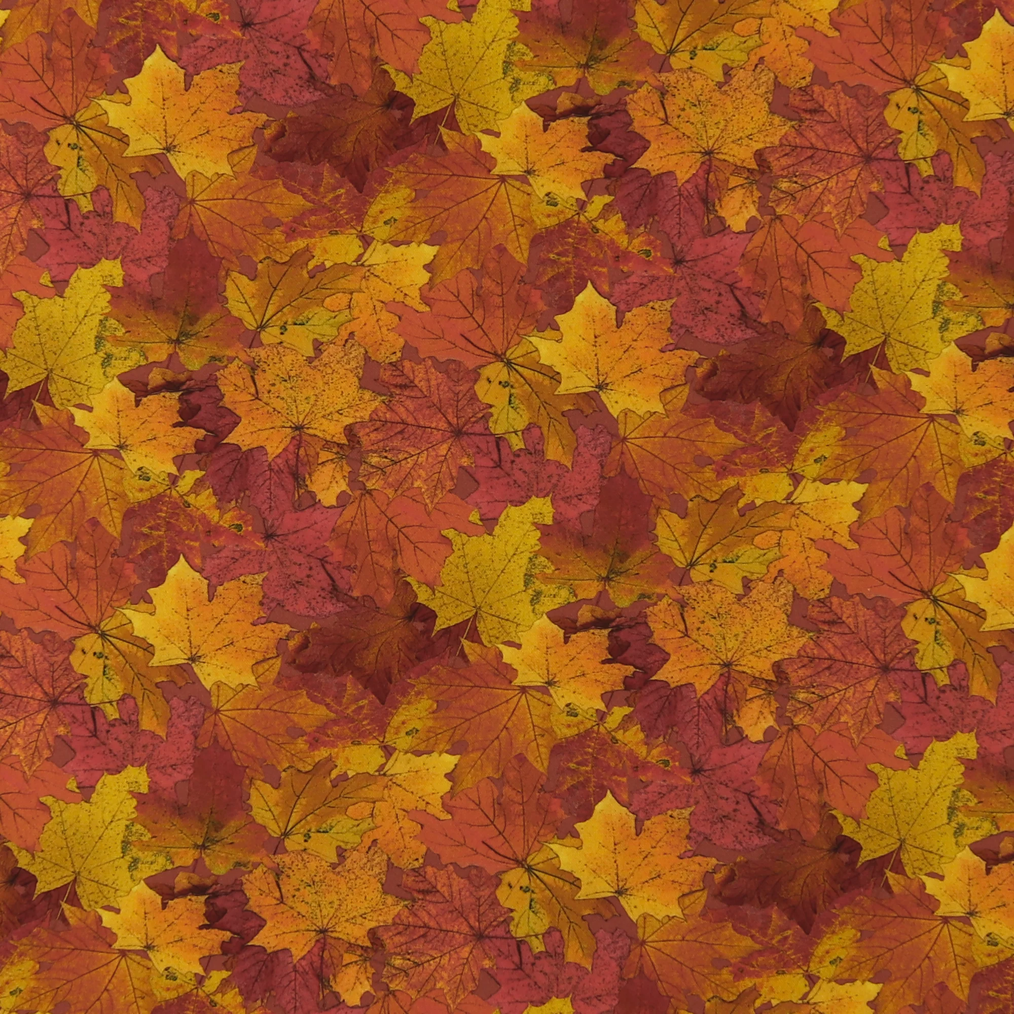 Northcott - Printed Cotton - NIGHT OWL - 003 - Autumn