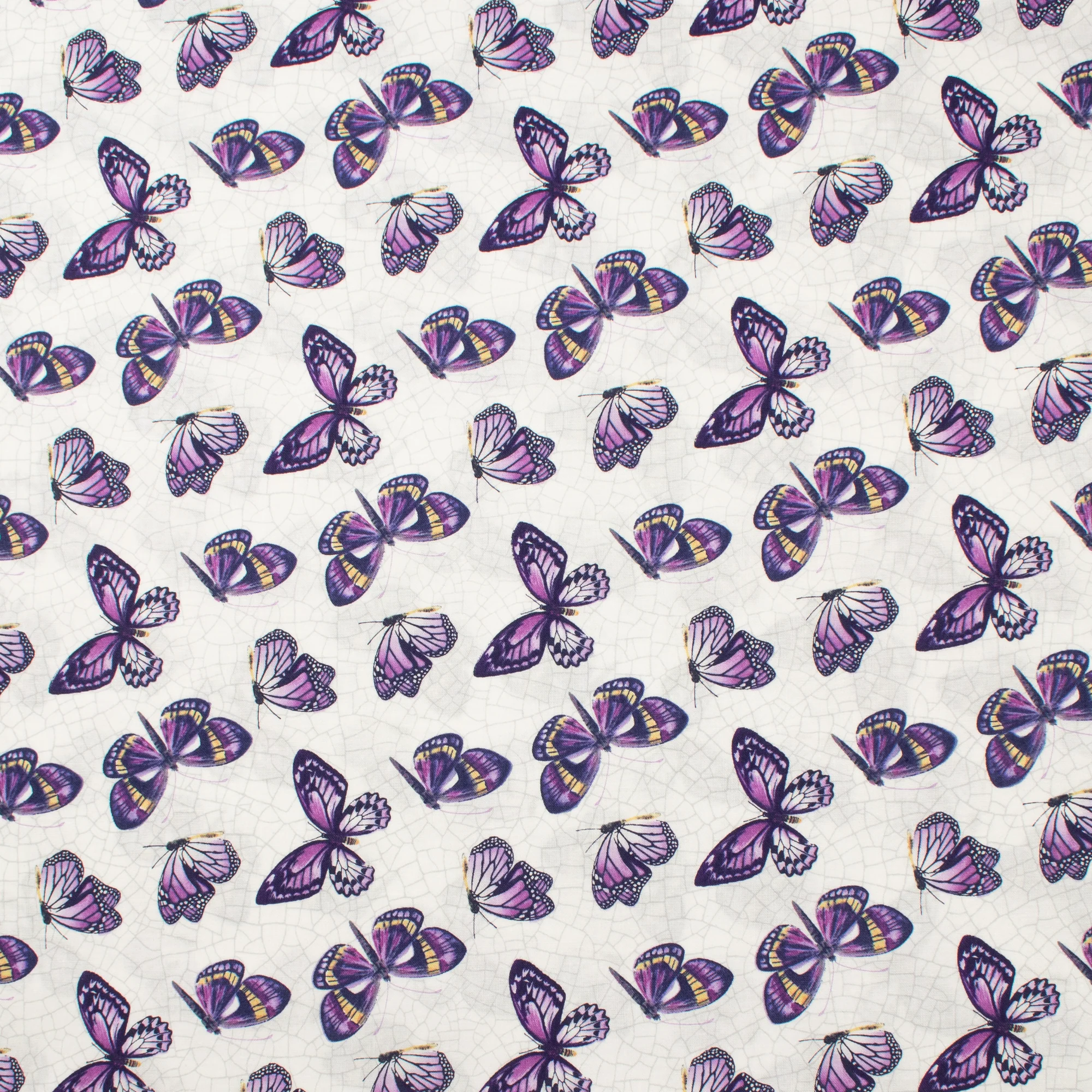 Northcott - Printed Cotton - TULIP GARDEN - 004 - White