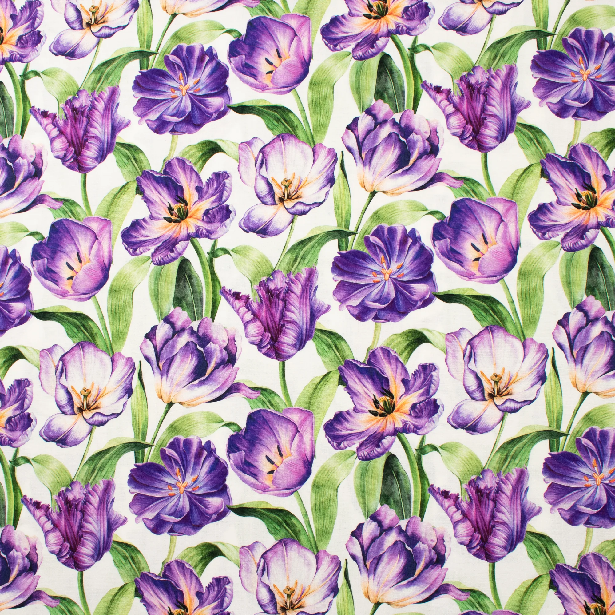 Northcott - Printed Cotton - TULIP GARDEN - 008 - White