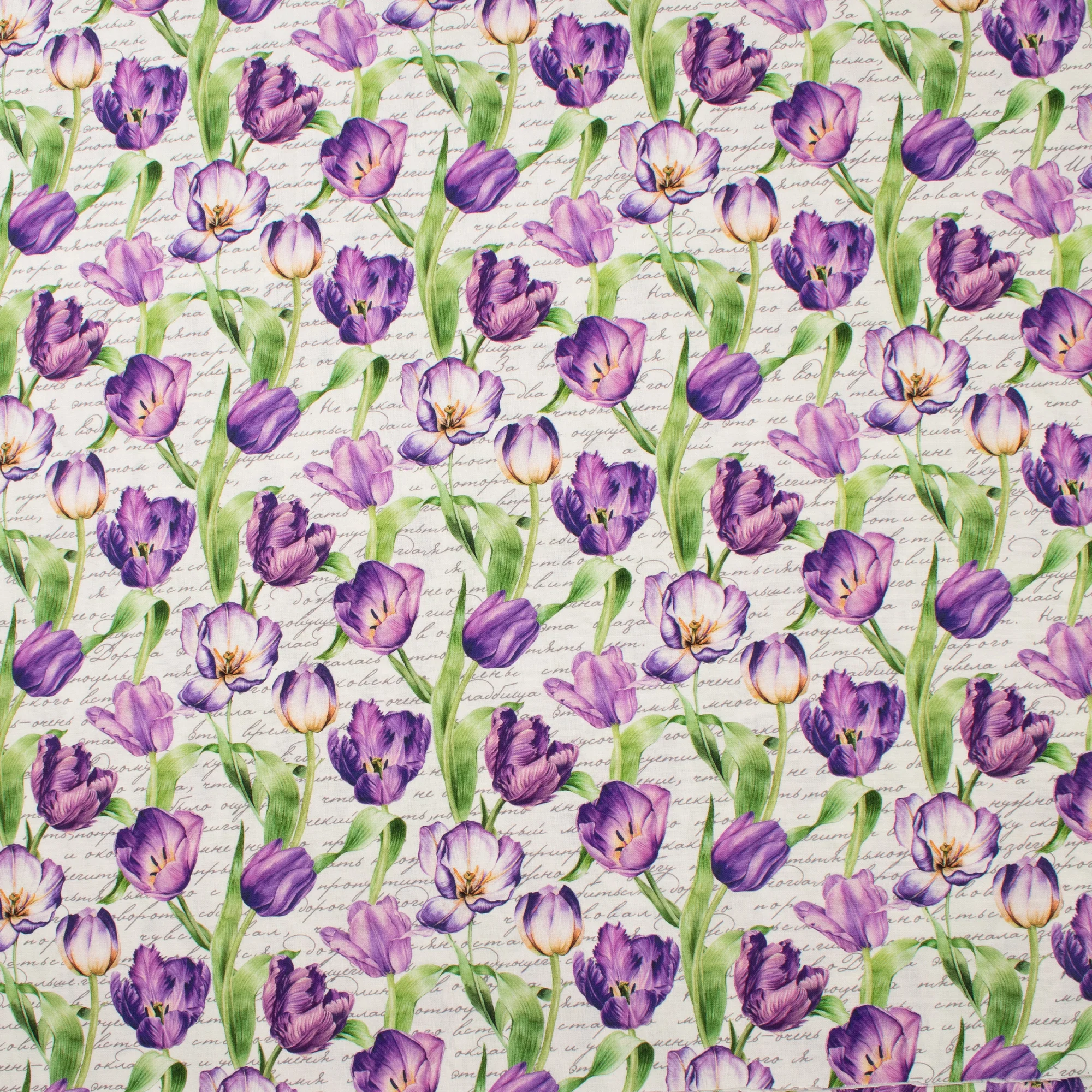 Northcott - Printed Cotton - TULIP GARDEN - 009 - White