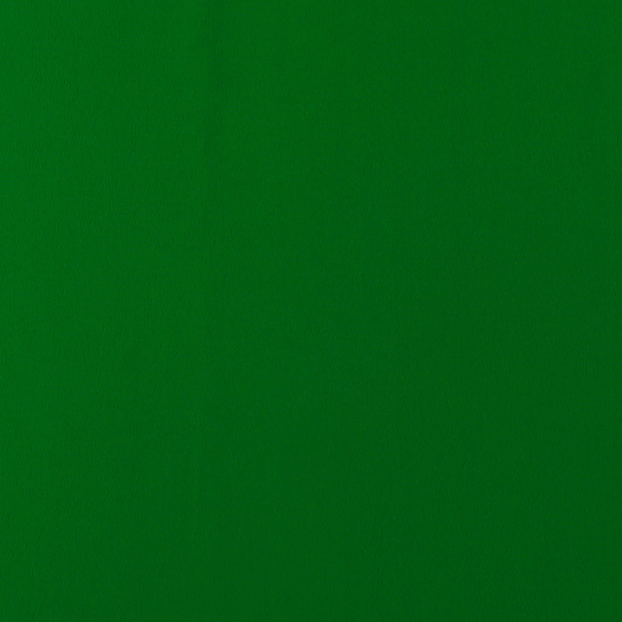 Novelty Polyester Solid - 221 - Green