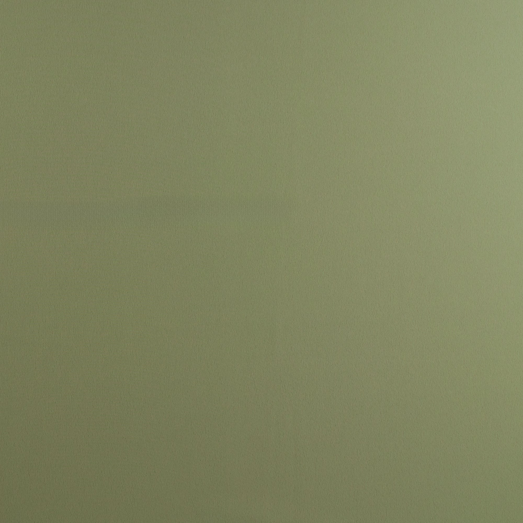 Novelty Polyester Solid - 239 - Thym