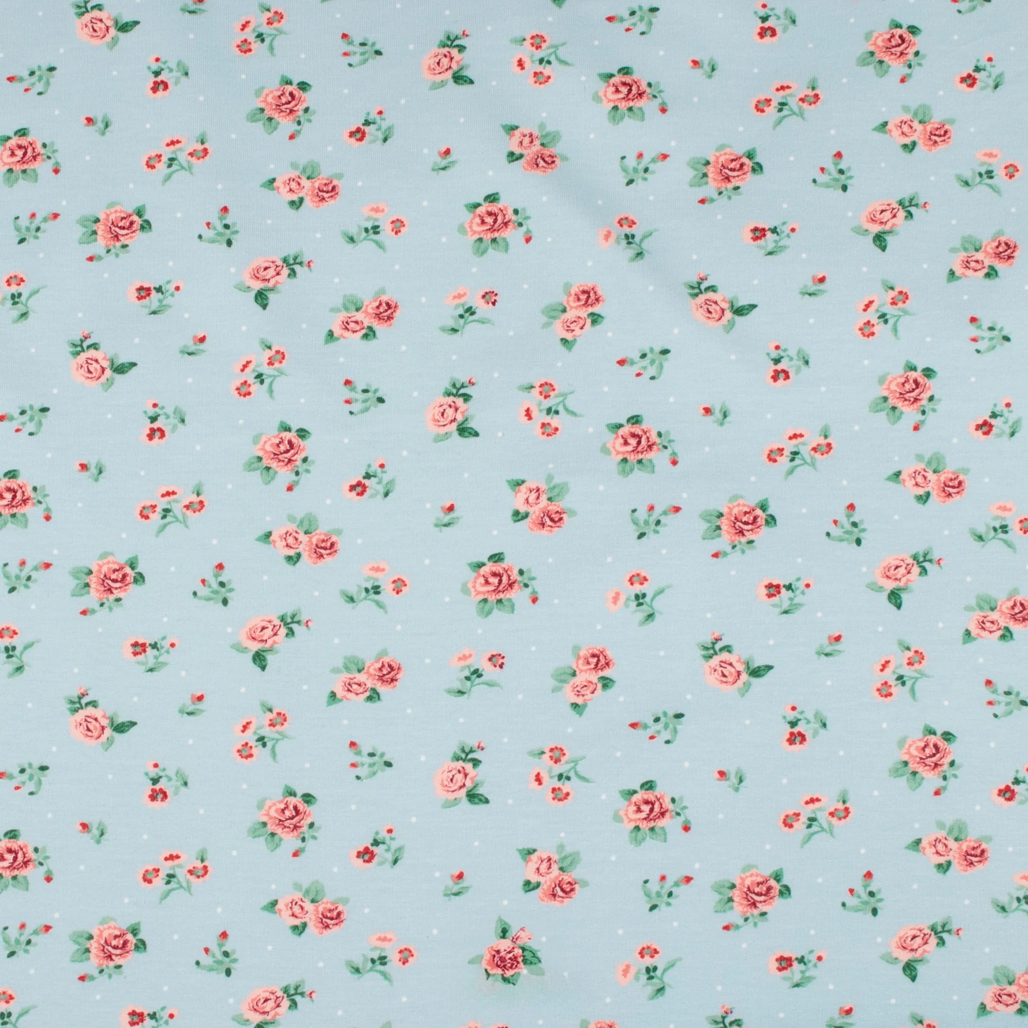 Organic Knit - GOTS - Roses - Baby Blue