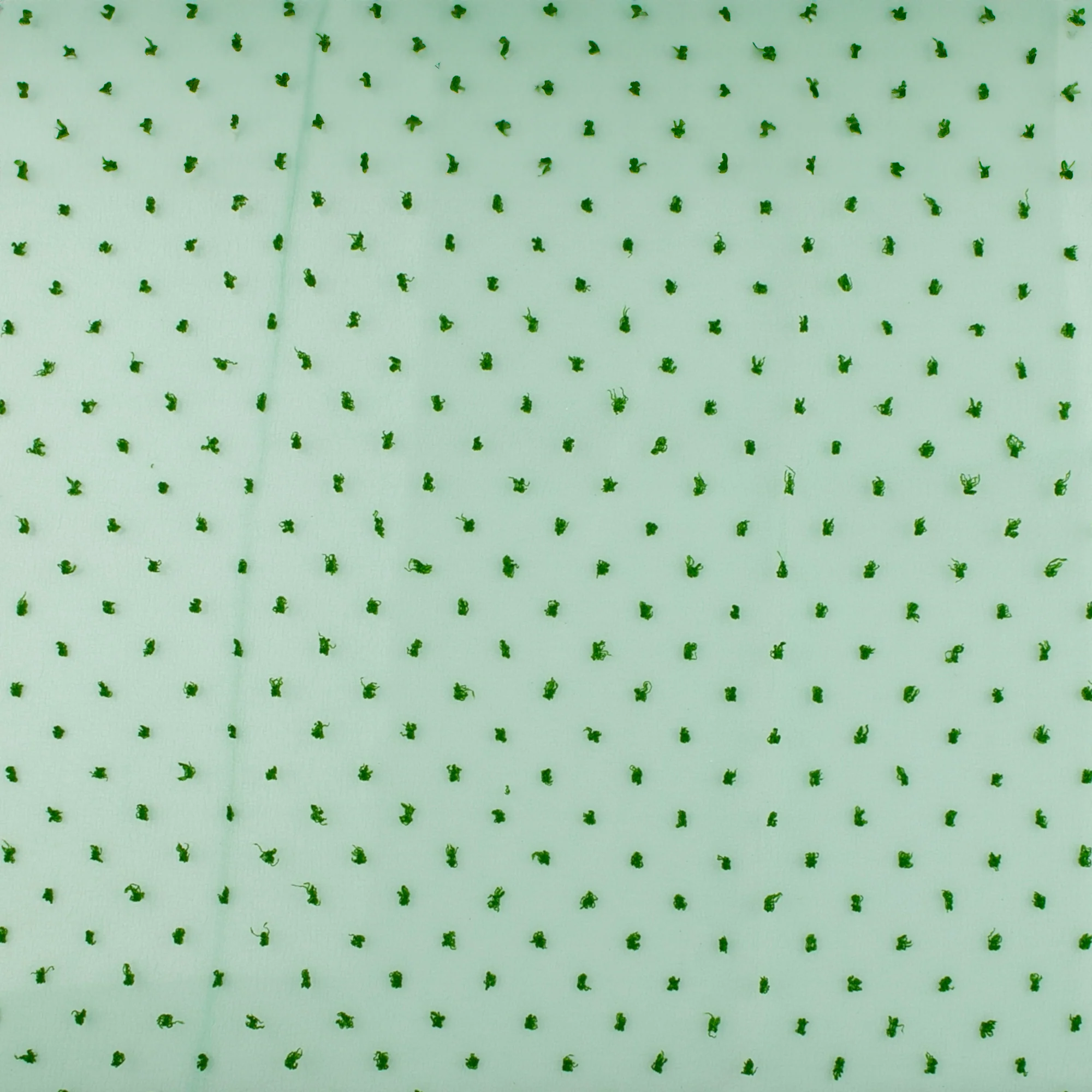Organza with Embroidered Dot - DOTSY - Green