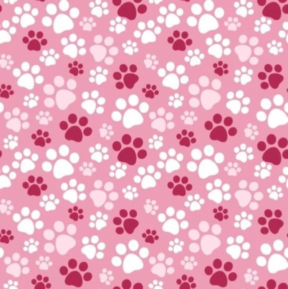 paws-rosa-1
