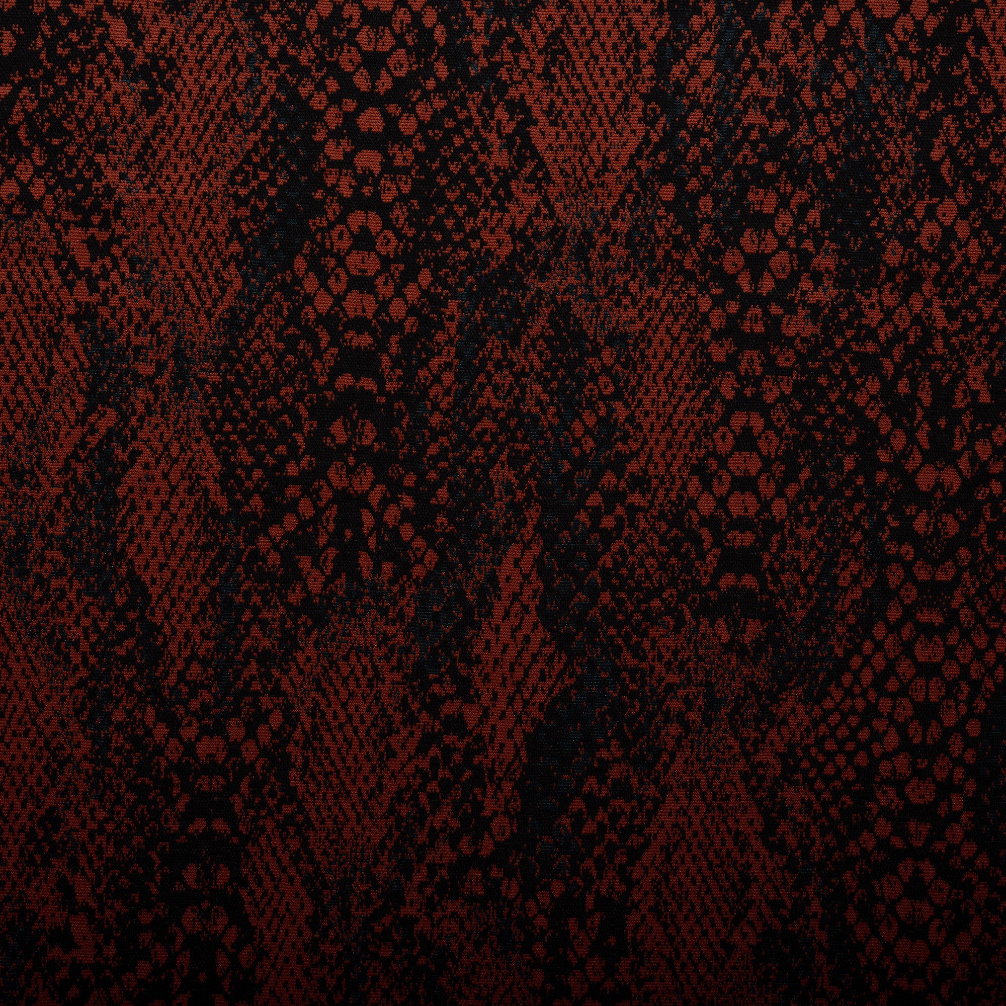 Plaid & Jacquard Fashion Knit - Snake - Maple