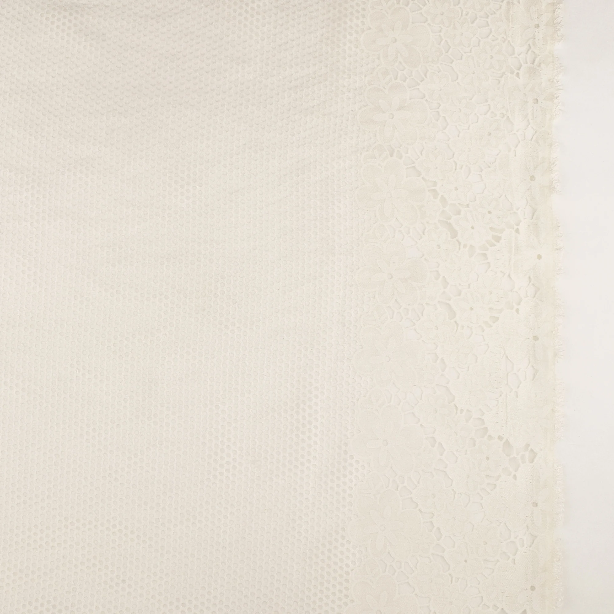 Printed Burnout Organza with Border- JACQUELINE - Offwhite