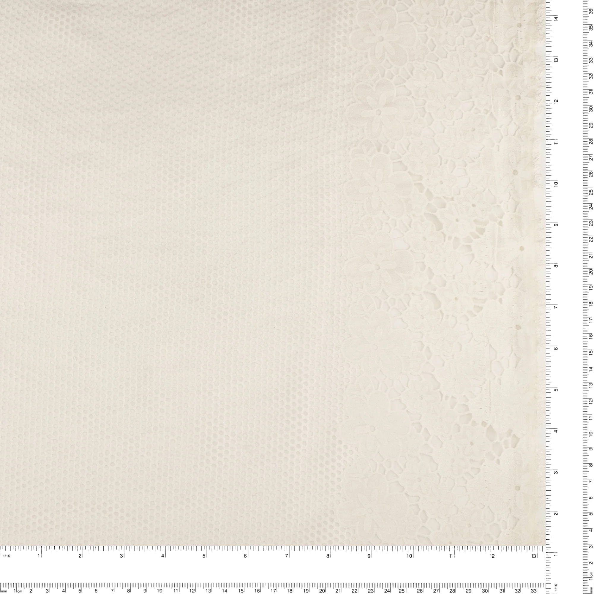 Printed Burnout Organza with Border- JACQUELINE - Offwhite - Image 3