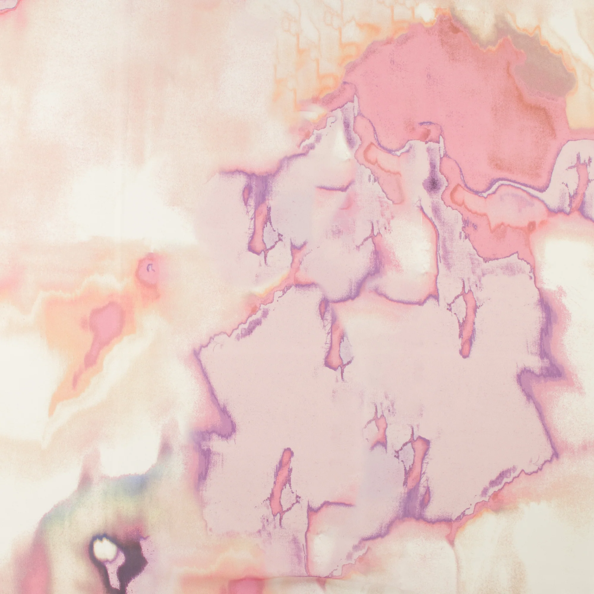 Printed Chiffon - DAY DREAM - 005 - Rose