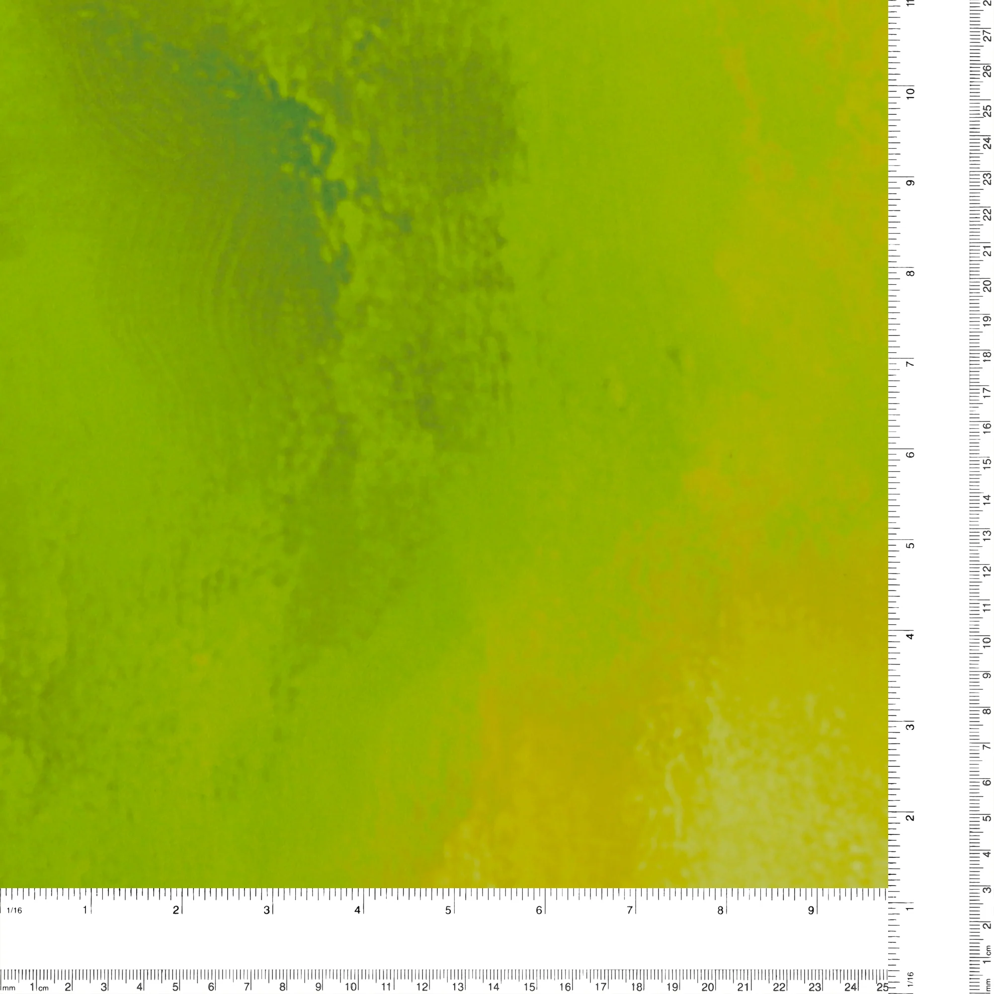 Printed Chiffon - LAST DANCE - 003 - Celery - Image 3