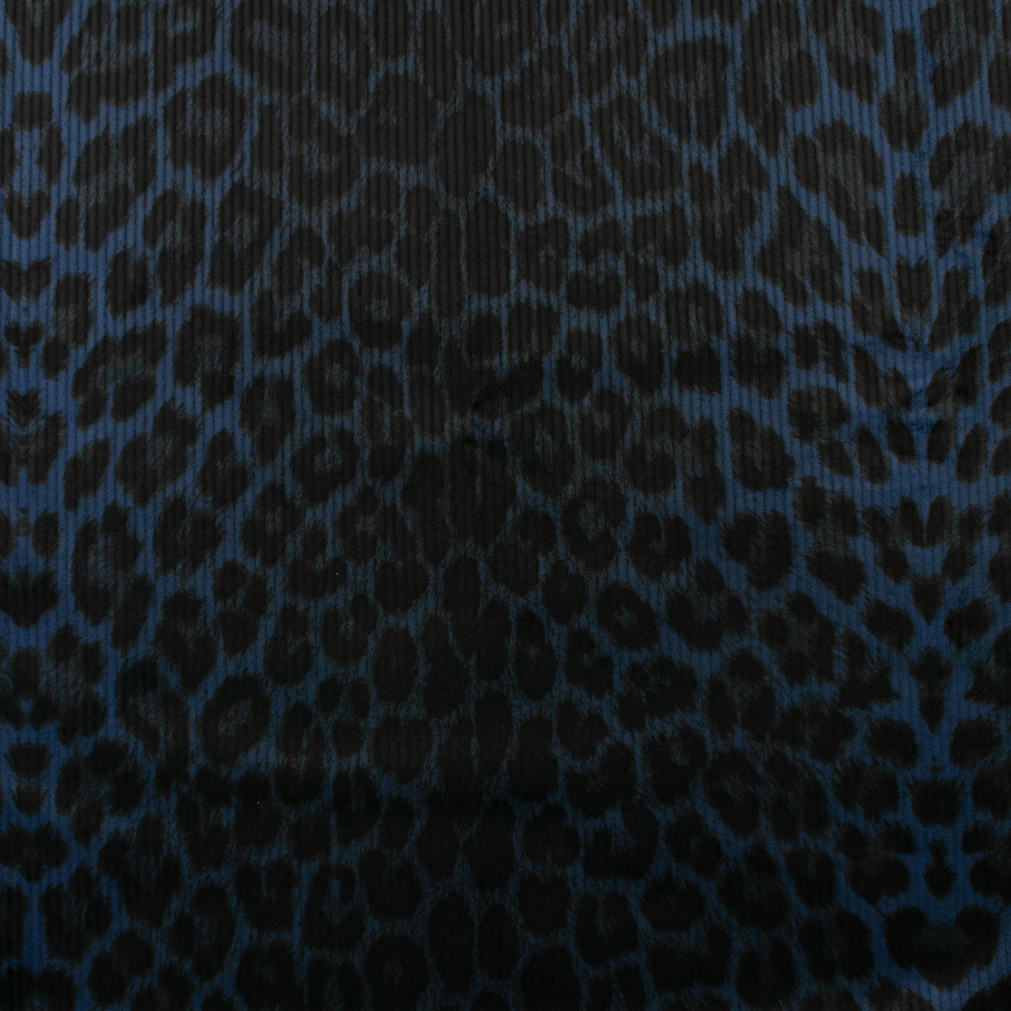 Printed Corduroy - FASHION EDIT - 001 - Blue