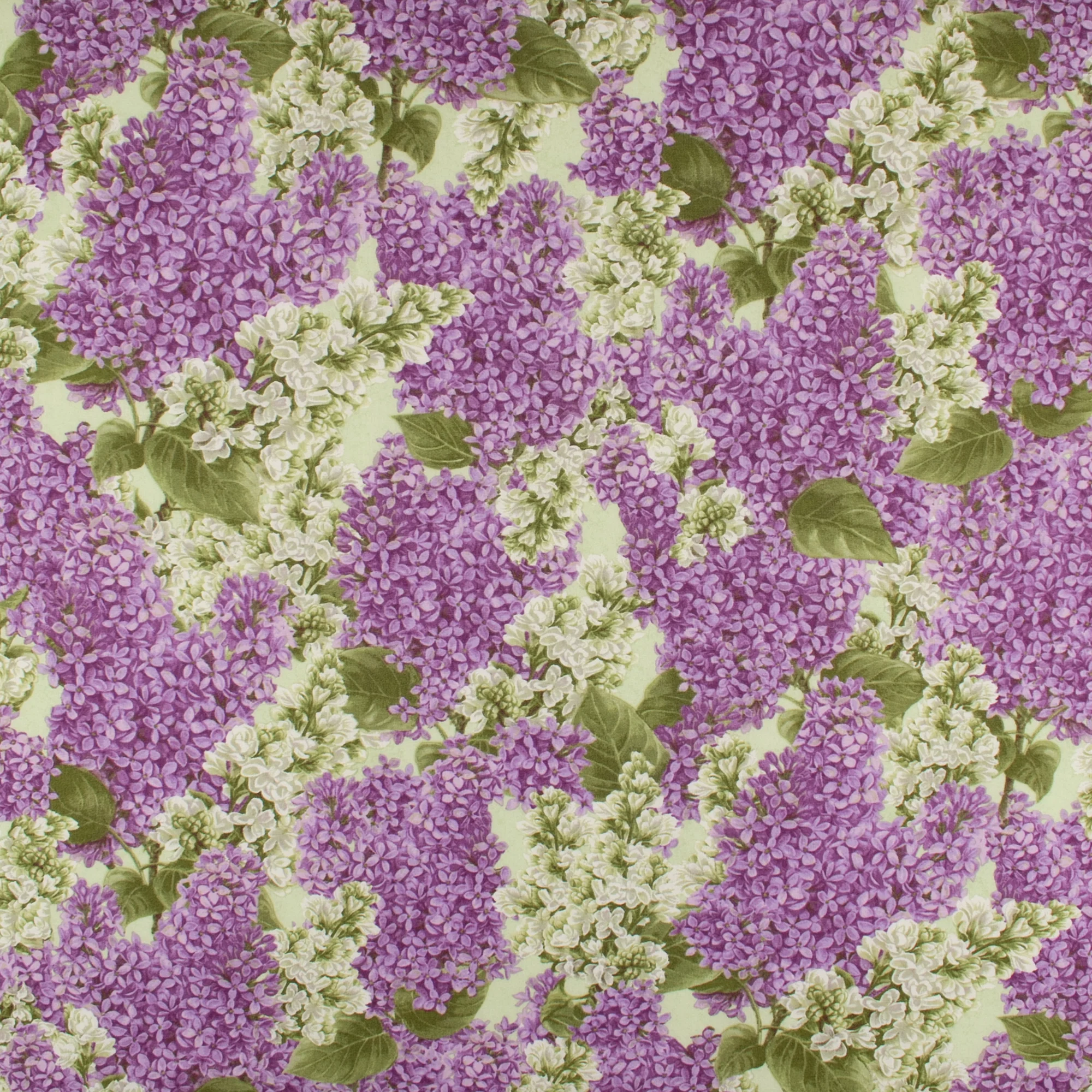 Printed Cotton - BLOOMERANG - 001 - Light Green
