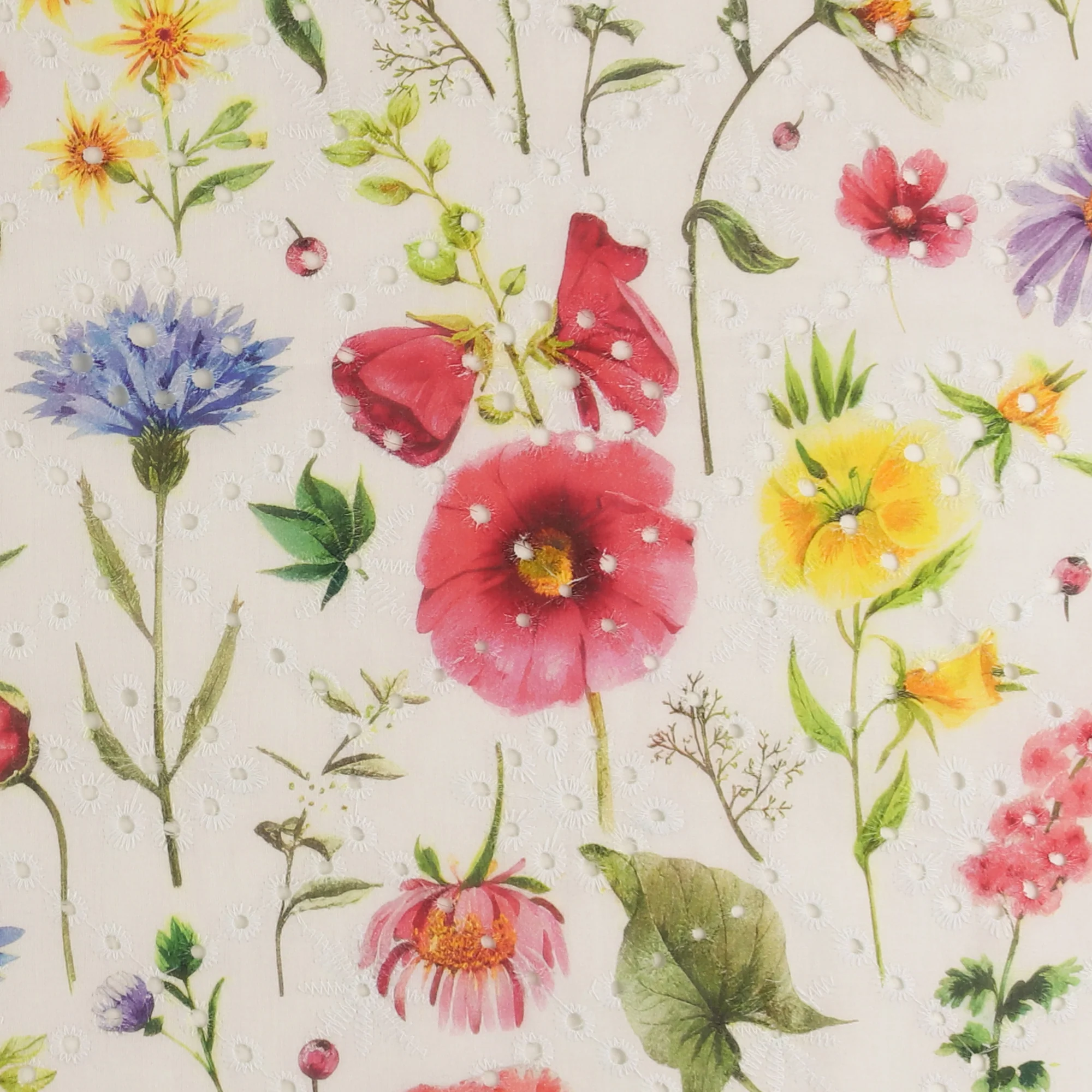 Printed Cotton Embroidery - COVENT GARDEN - 001 - White