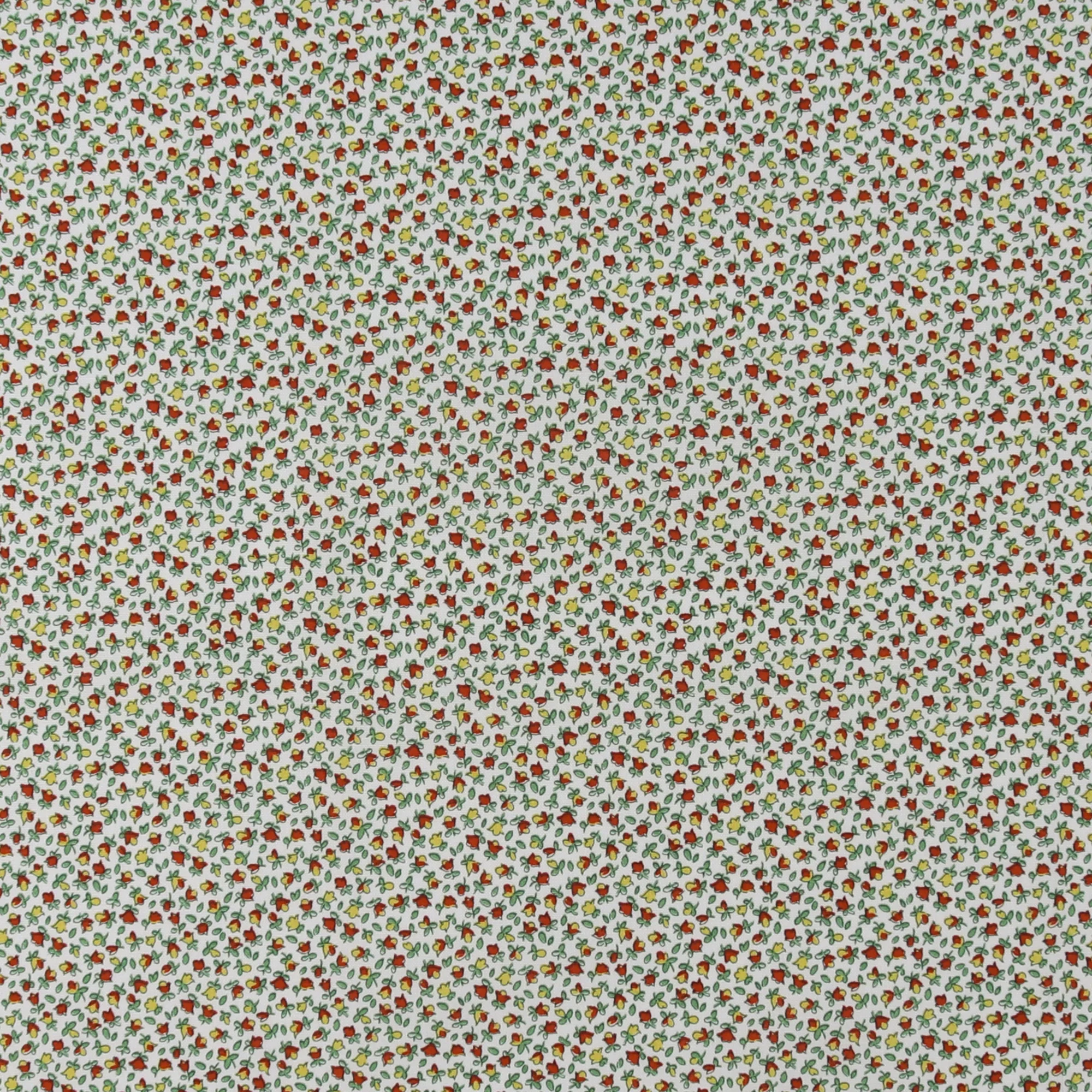 Printed Cotton - LIBERTY of PARIS - 073 - Offwhite