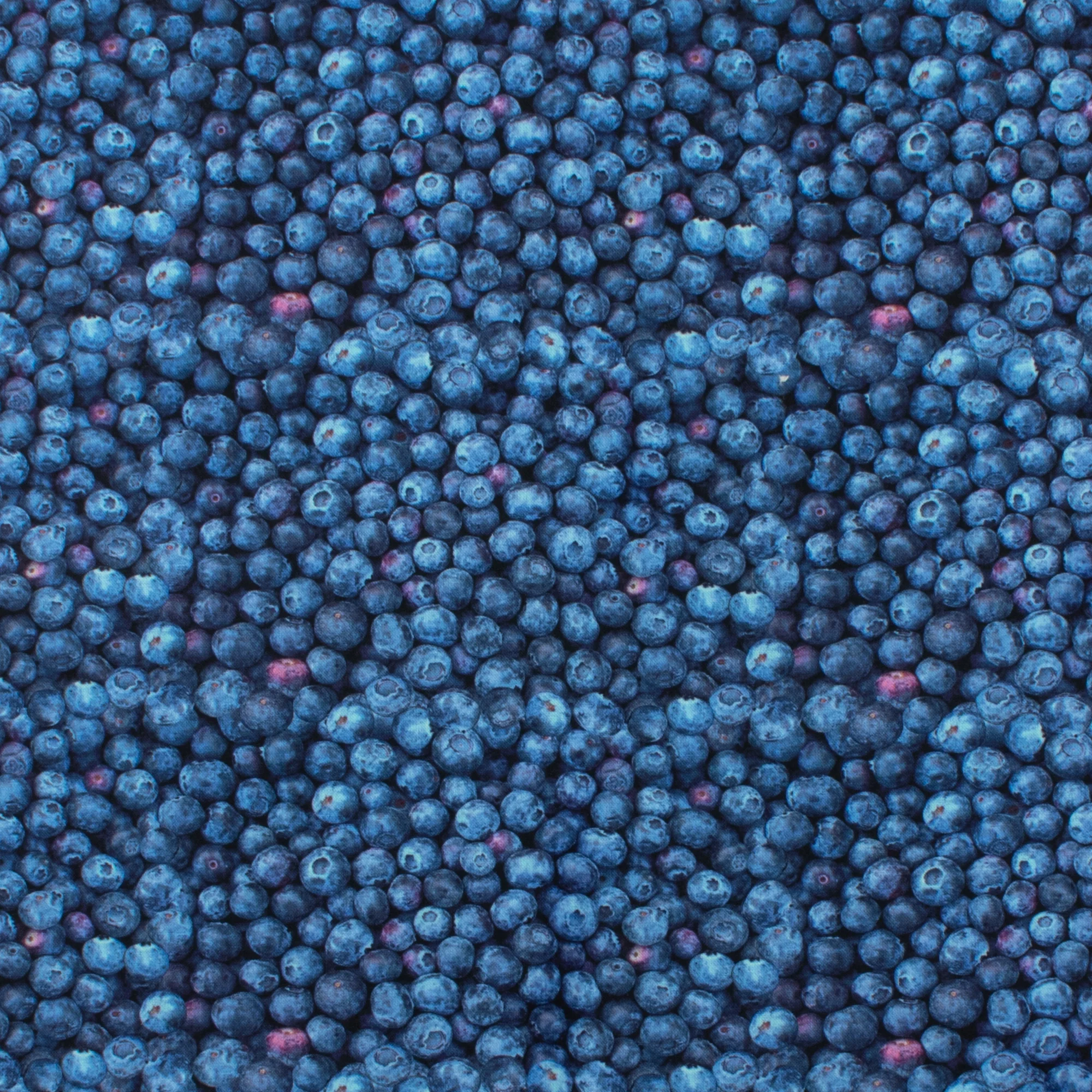 Printed Cotton - MOOK ESSENTIALS - 019 - Blueberry