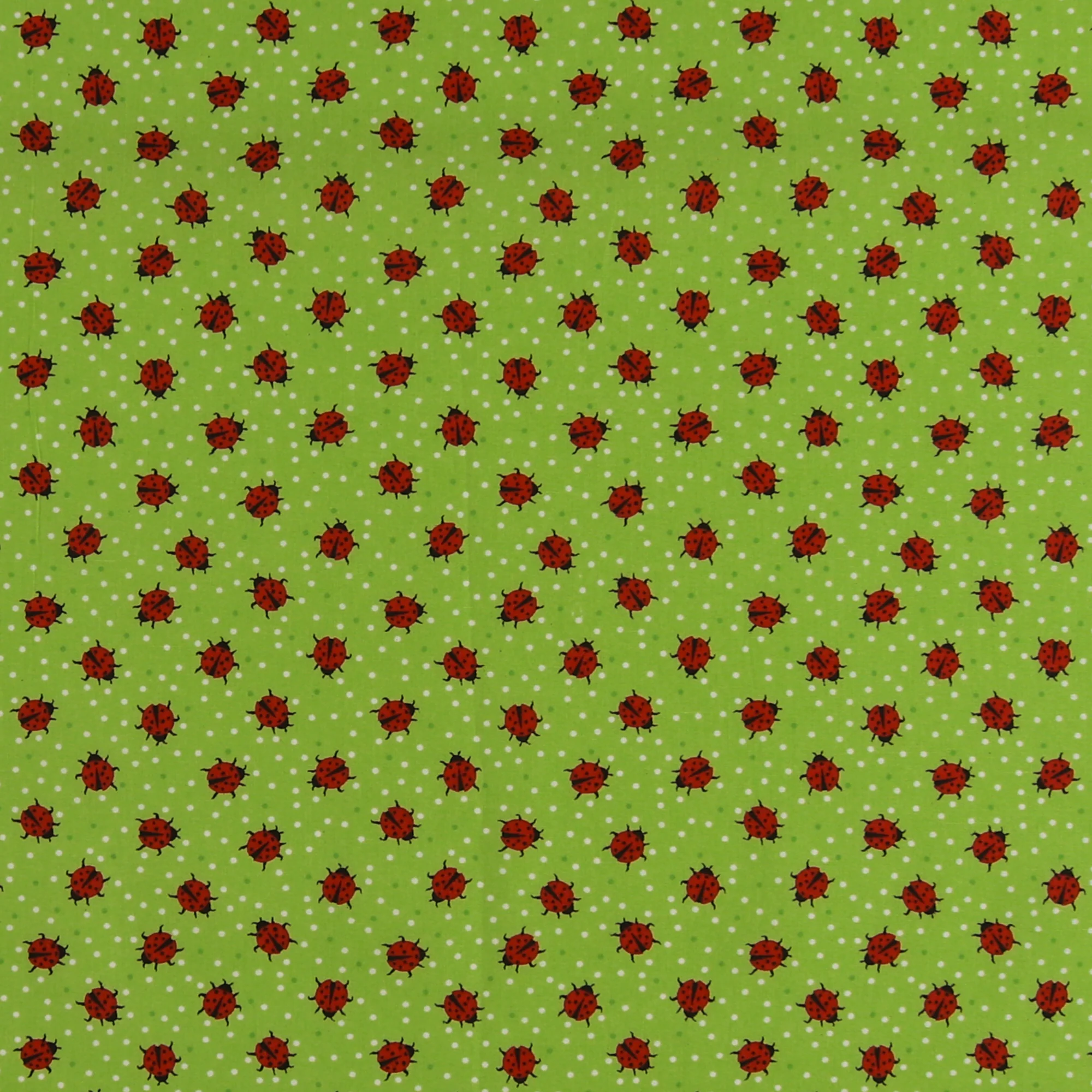 Printed Cotton Popline - WINNIE - 011 - Green