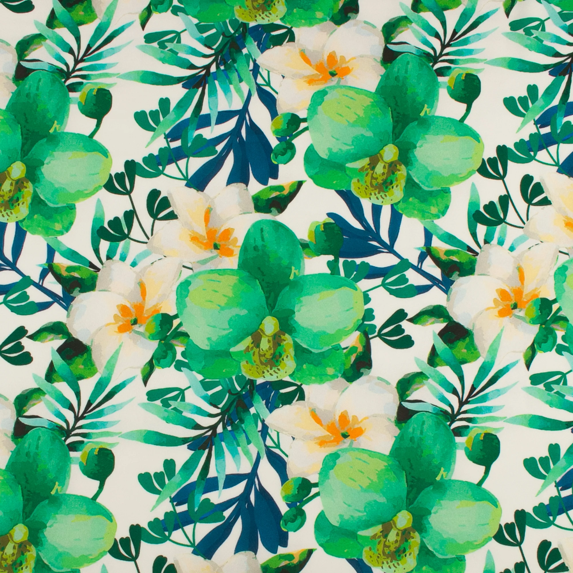 Printed Crepe Knit - MONTEGO - Green