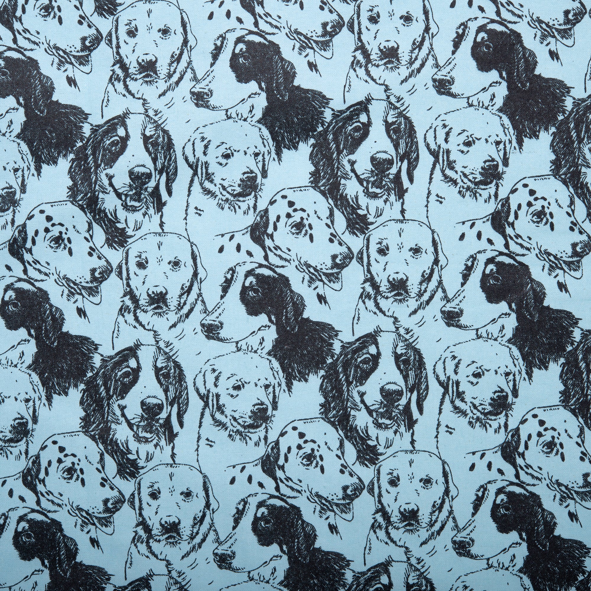Printed Flannelette - CHARLIE - Dogs face - Blue