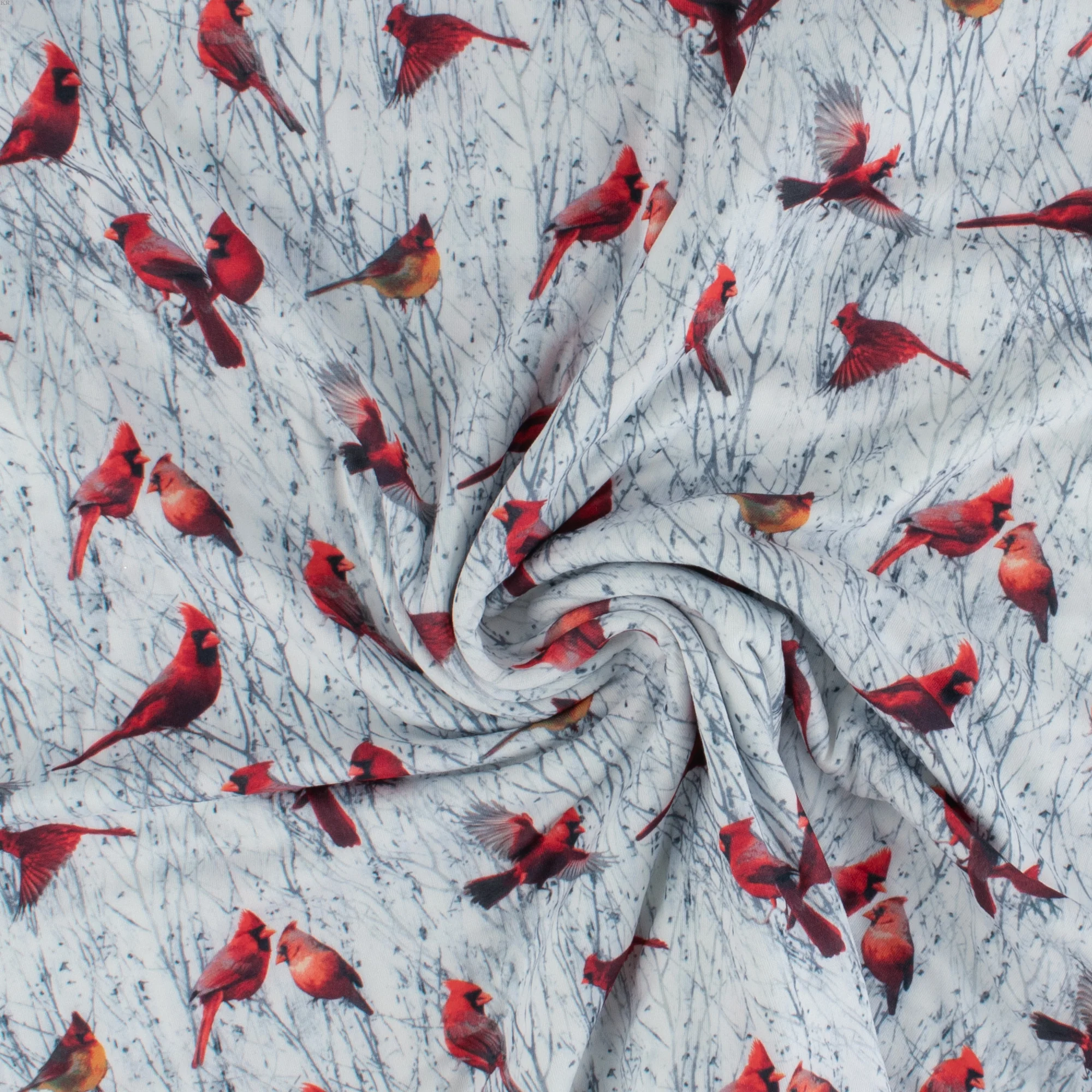 Printed Knit - DREAMLAND - 005 - Red - Image 2