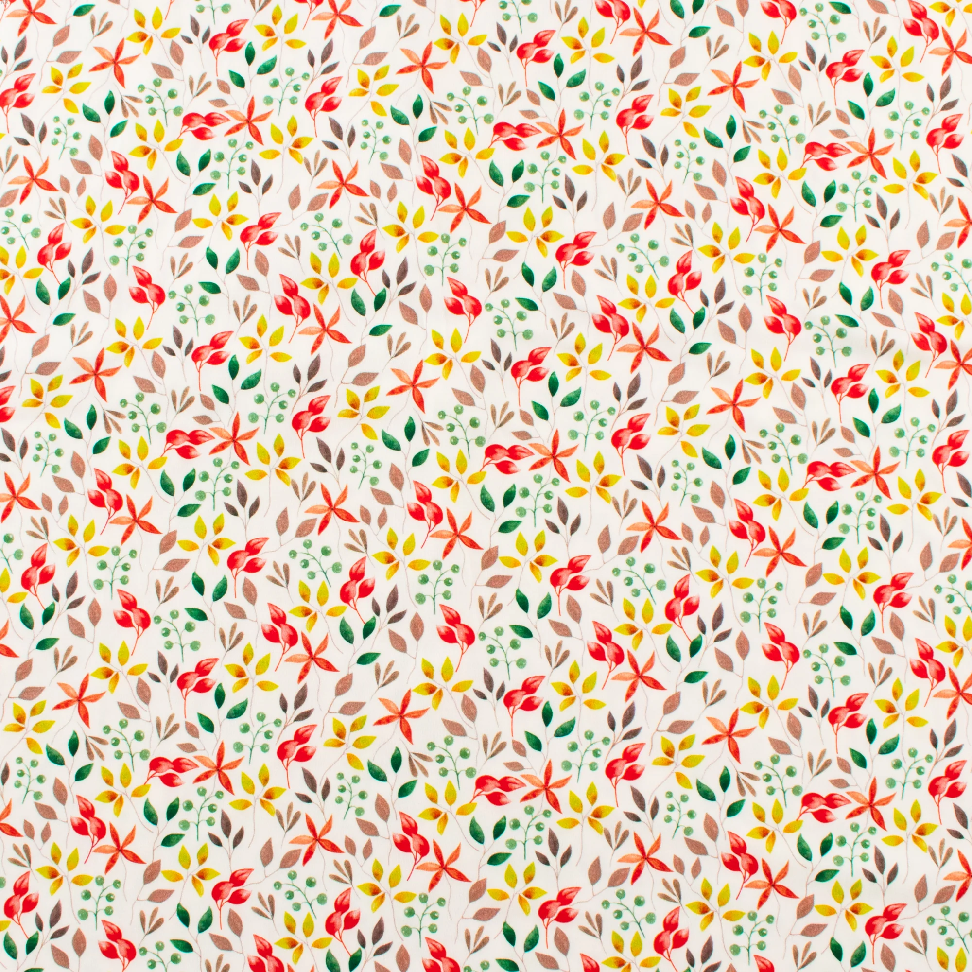 Printed Knit - DREAMLAND - 013 - Pink/Green