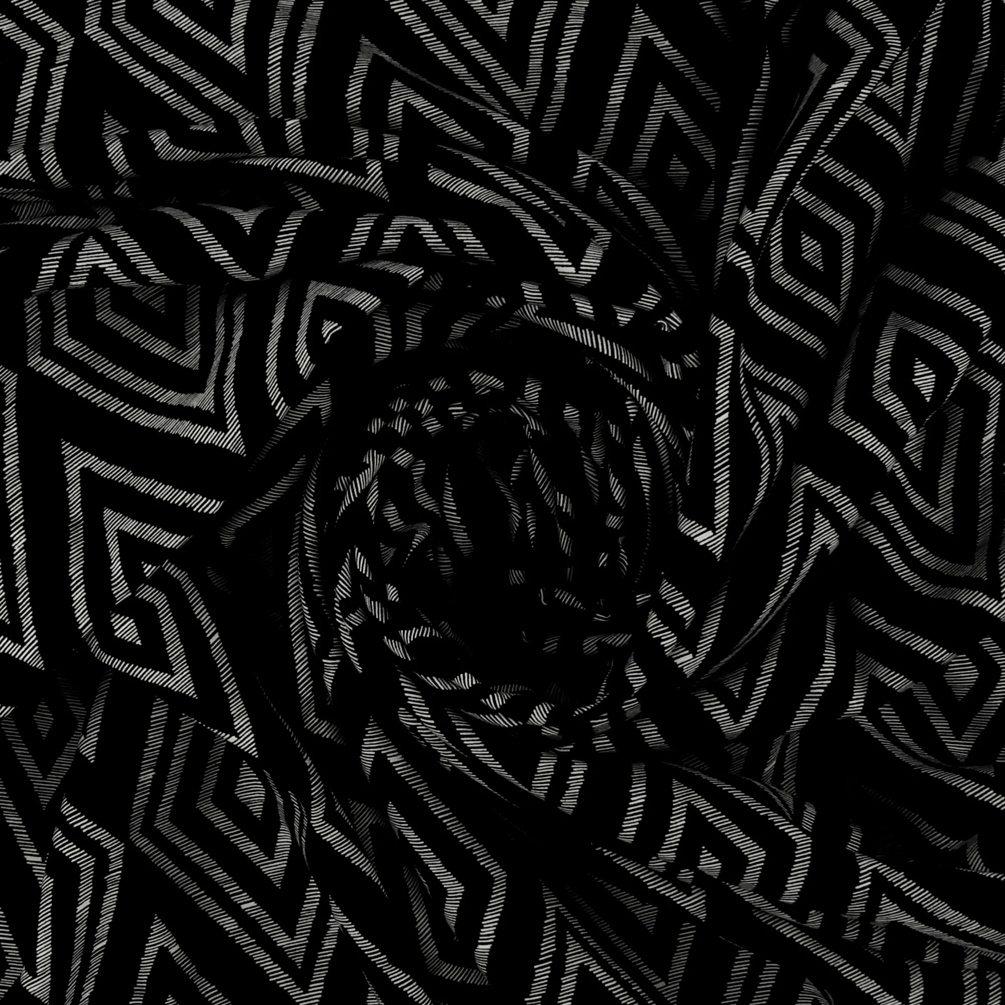 Printed Rayon Poplin - BEATRICE - 002 - Black - Image 2