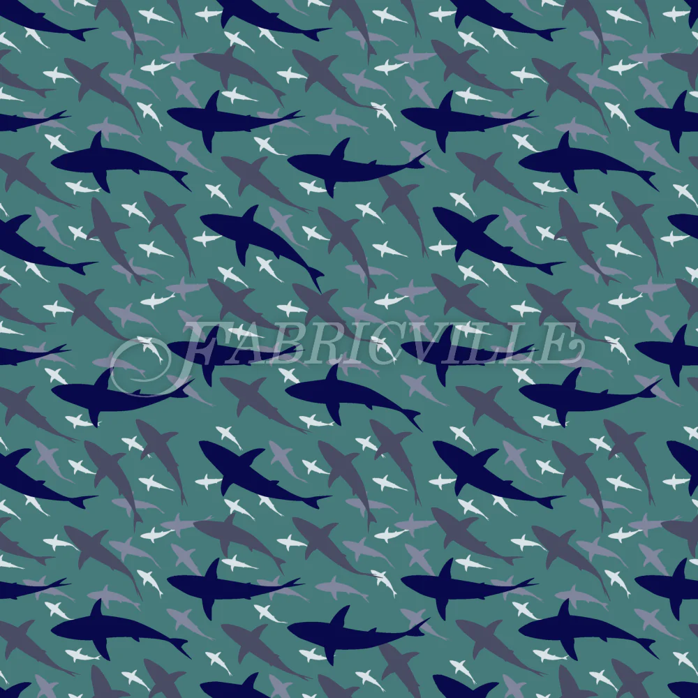 Shark Point