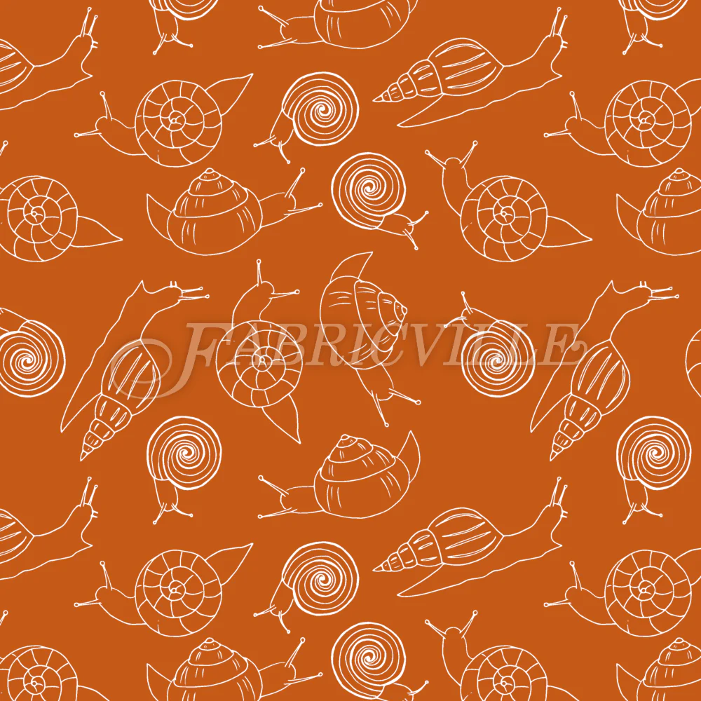 Snail Species