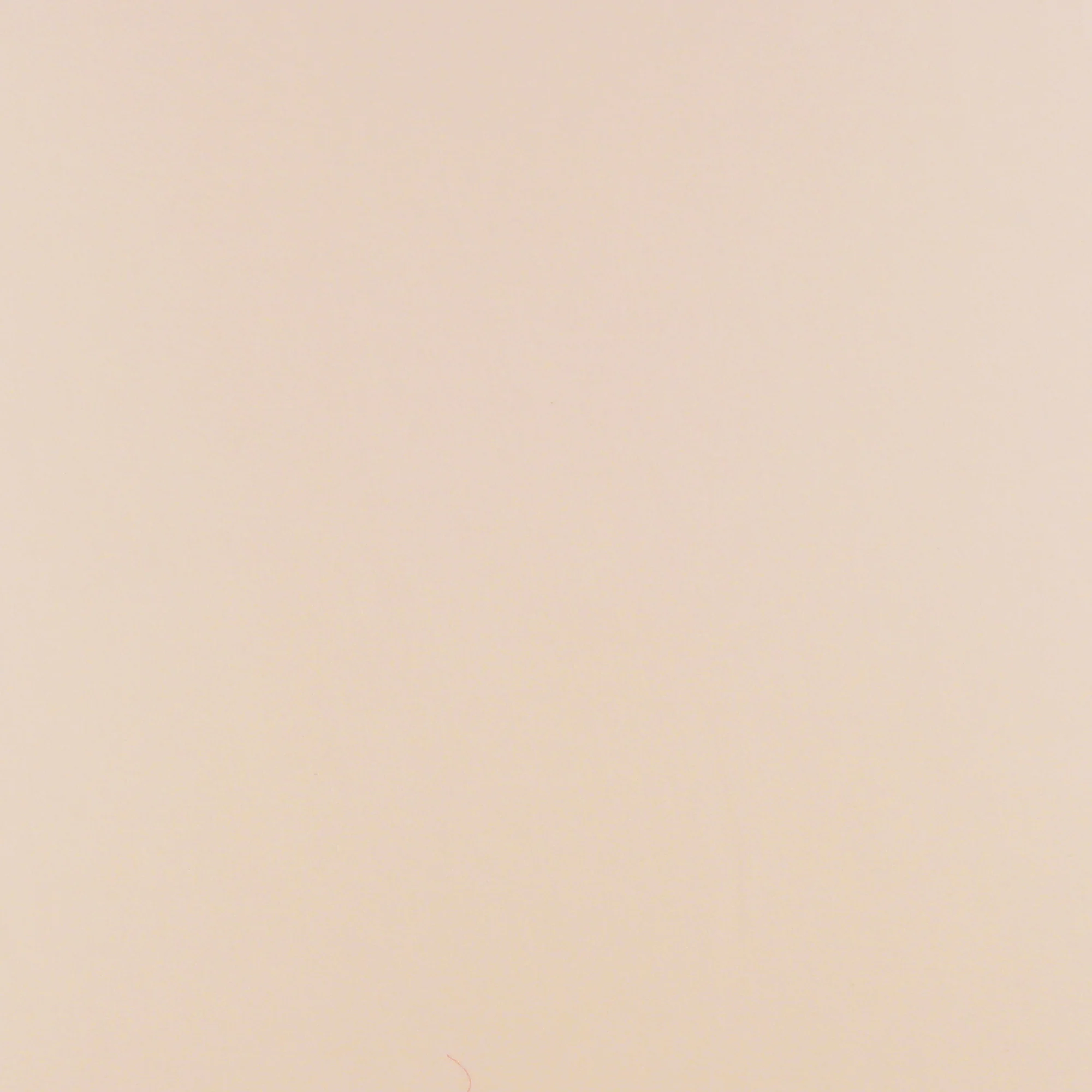 Solid Organza - PROM - 002 - Blush