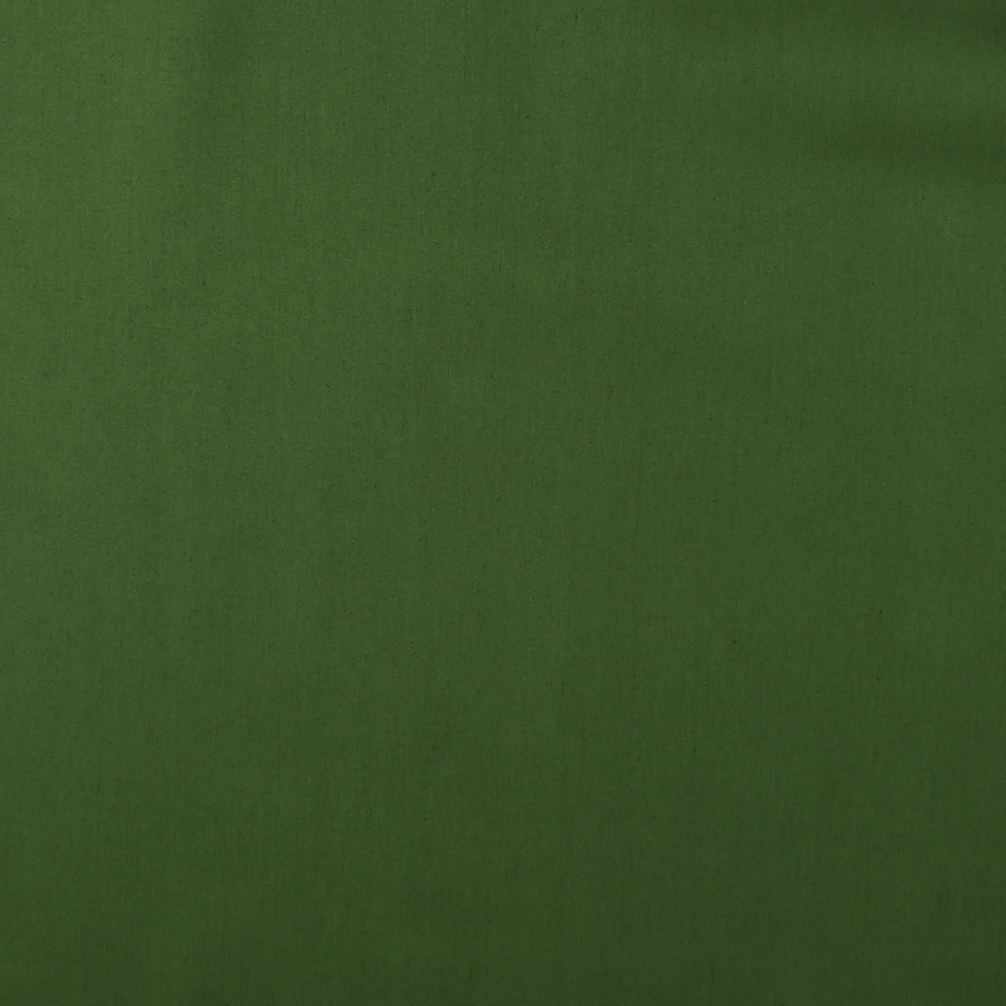 Stetch Cotton Sateen - GIGGLES AND GRAPHICS - 002 - Olive