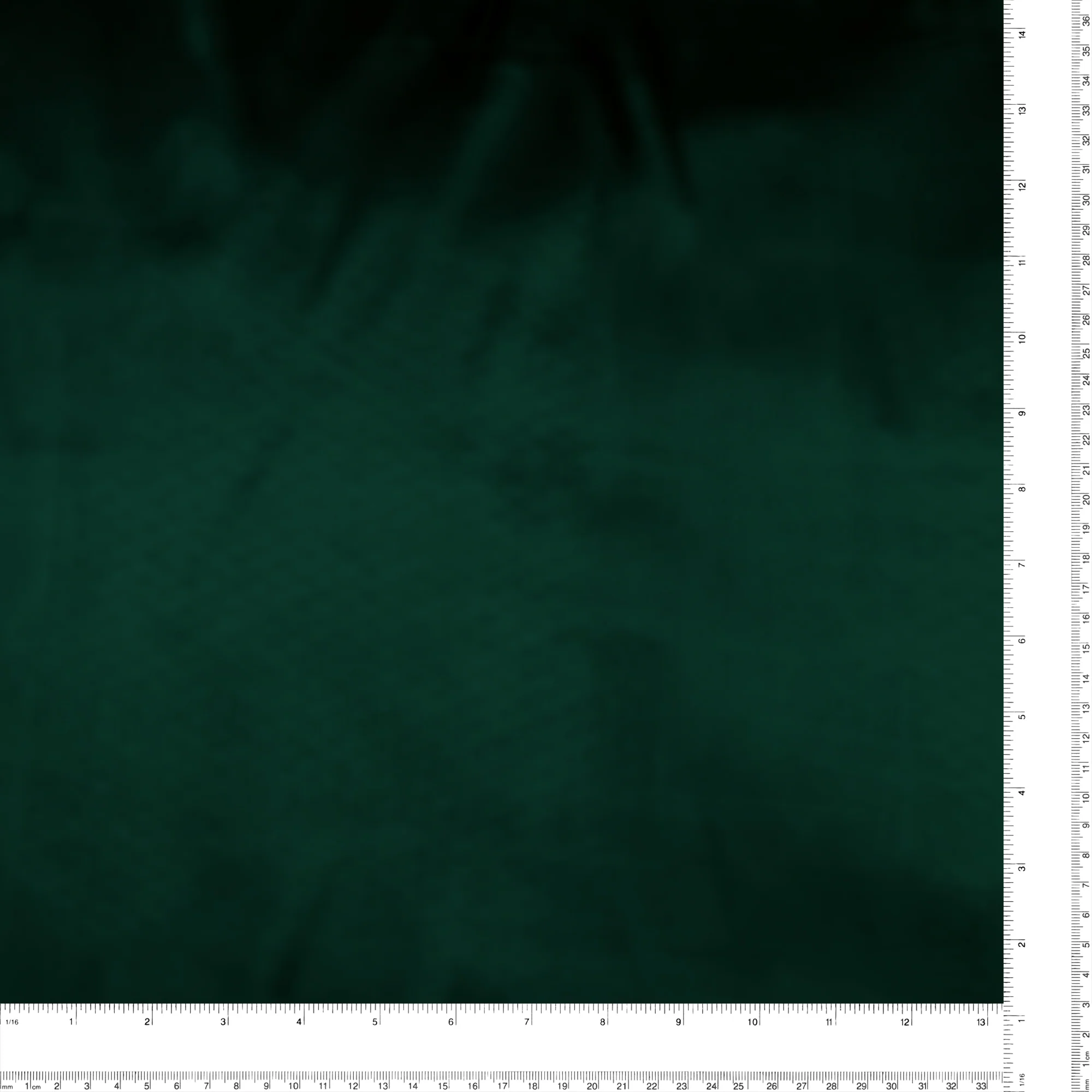 Stretch Matte Satin - CLICHY - Pine - Image 3