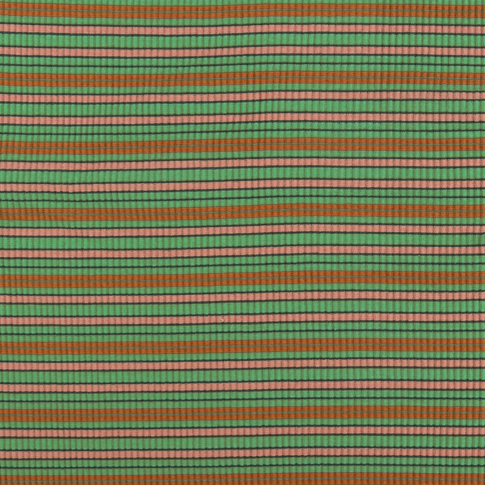 Striped Rib Knit - MUSKOKA - 001 -Green