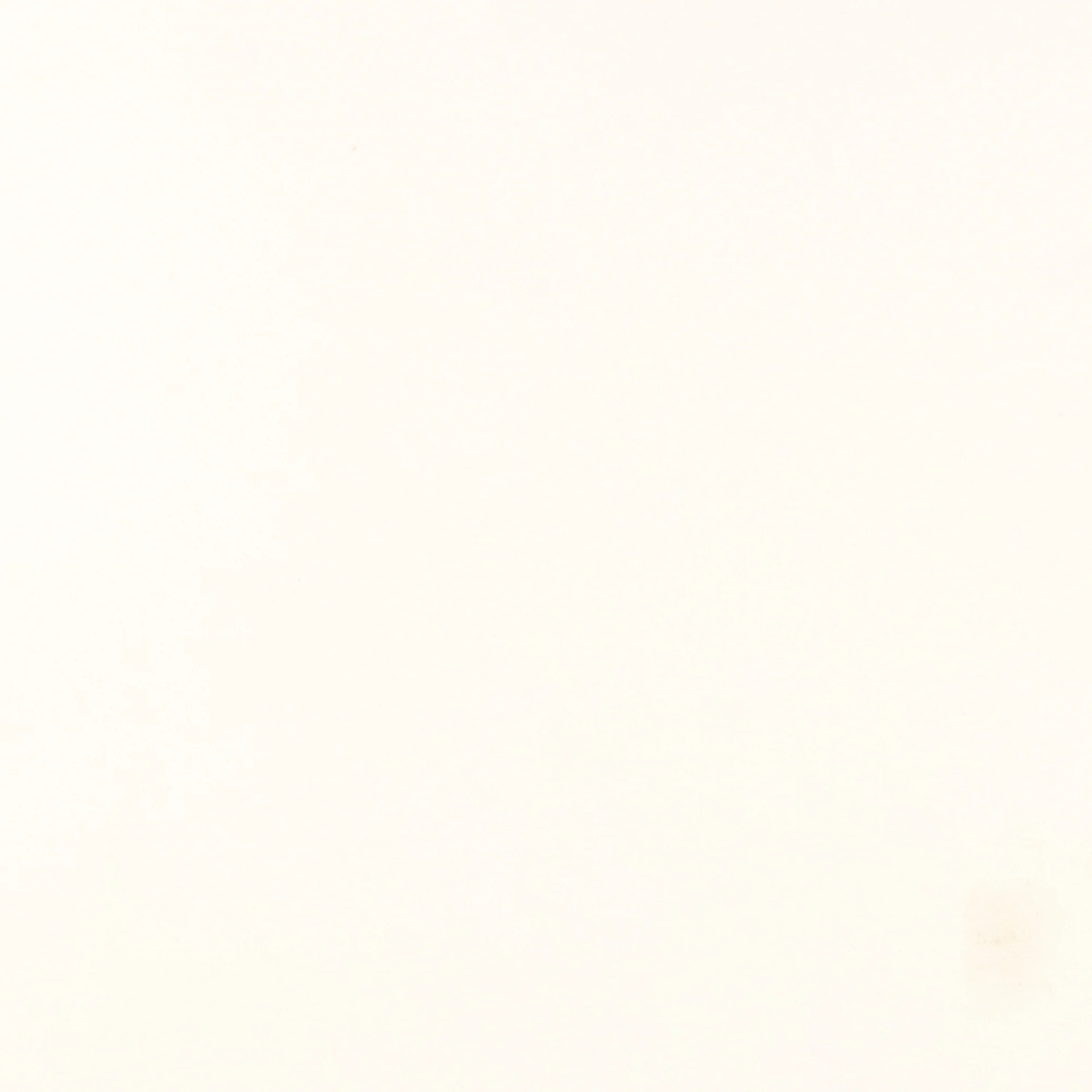 Suiting Solid - PANDORA - 001 - Ivory