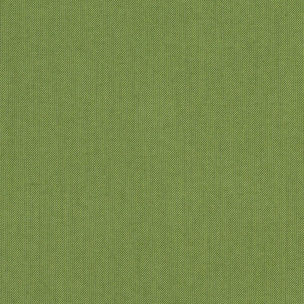 Sunbrella Furniture Spectrum 48022-0000 Cilantro