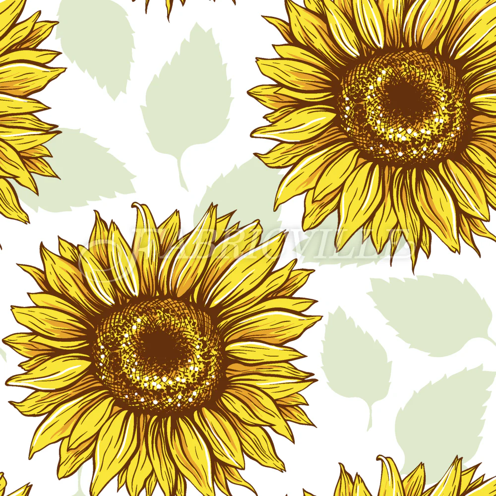Sunflowers In Summer