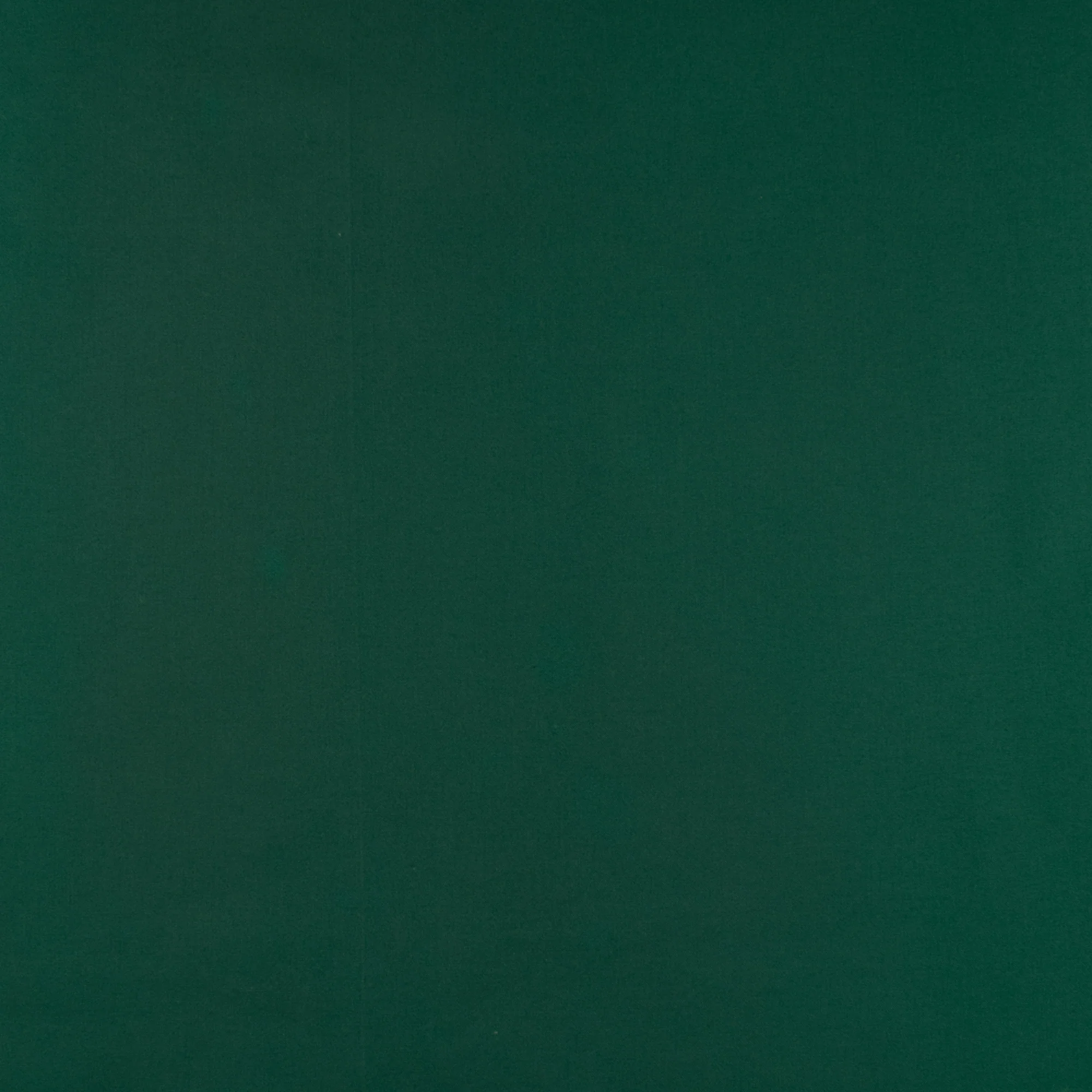 SUPREME Cotton Solid - Spruce