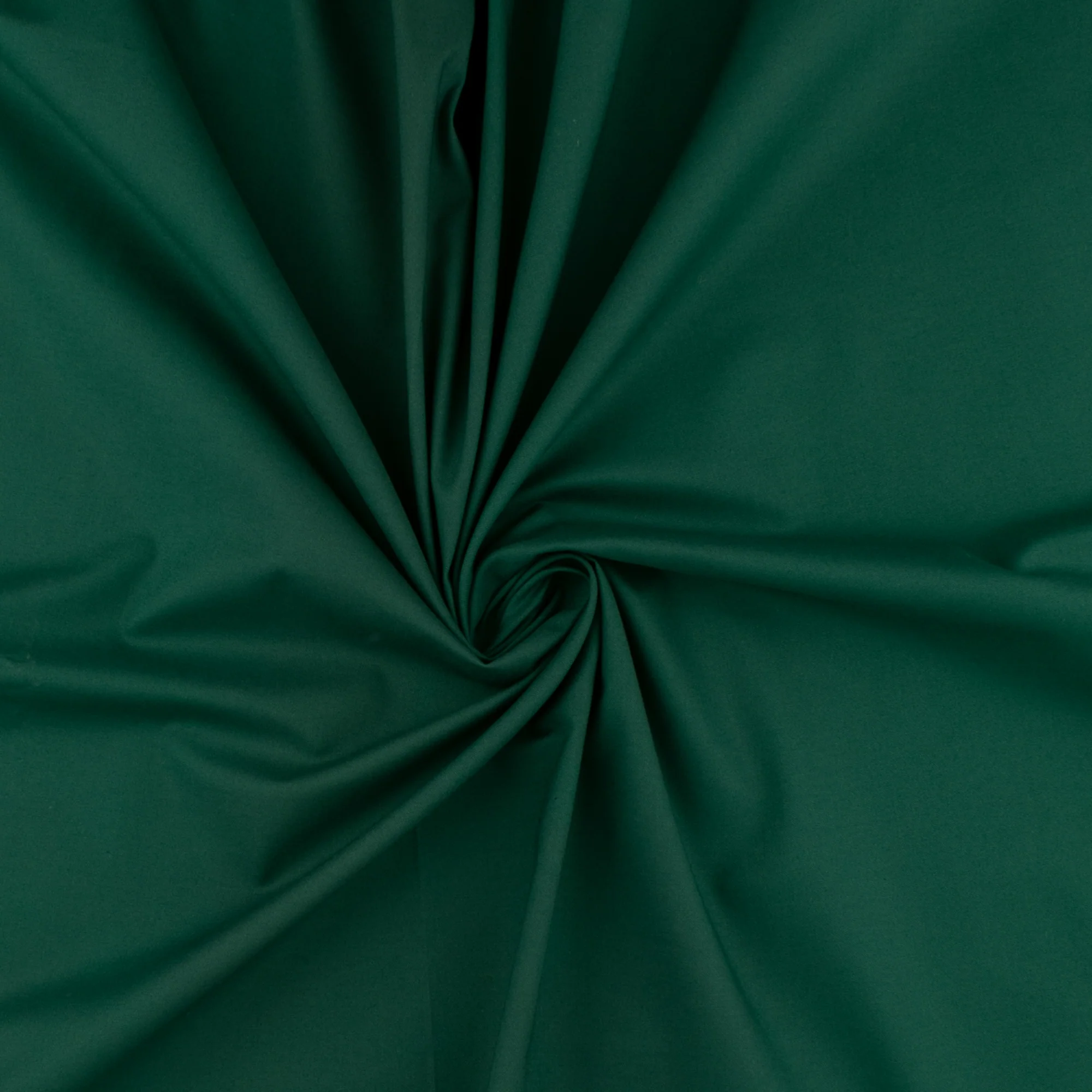 SUPREME Cotton Solid - Spruce - Image 2
