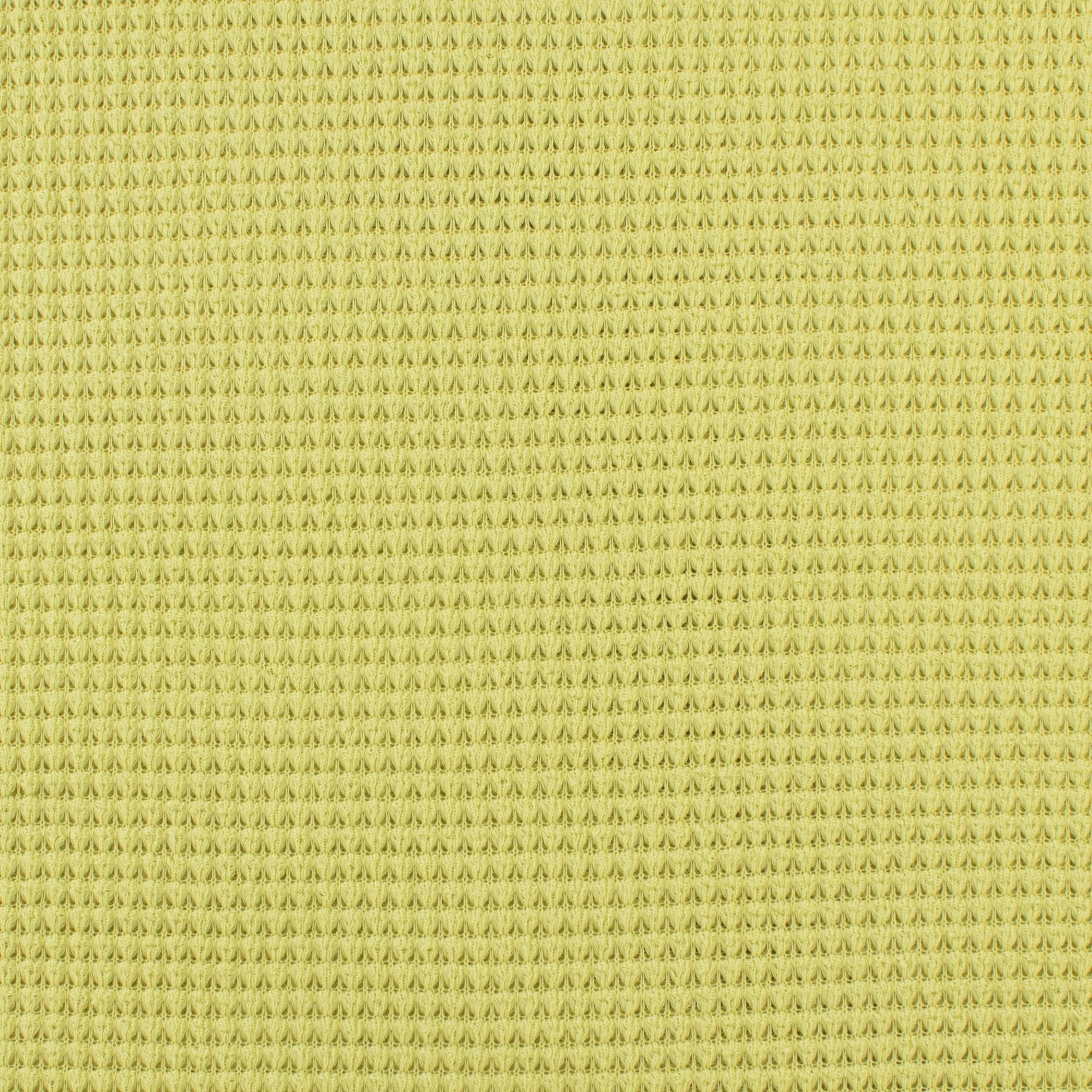 Sweather Knit - MUSKOKA - 001 - Celery