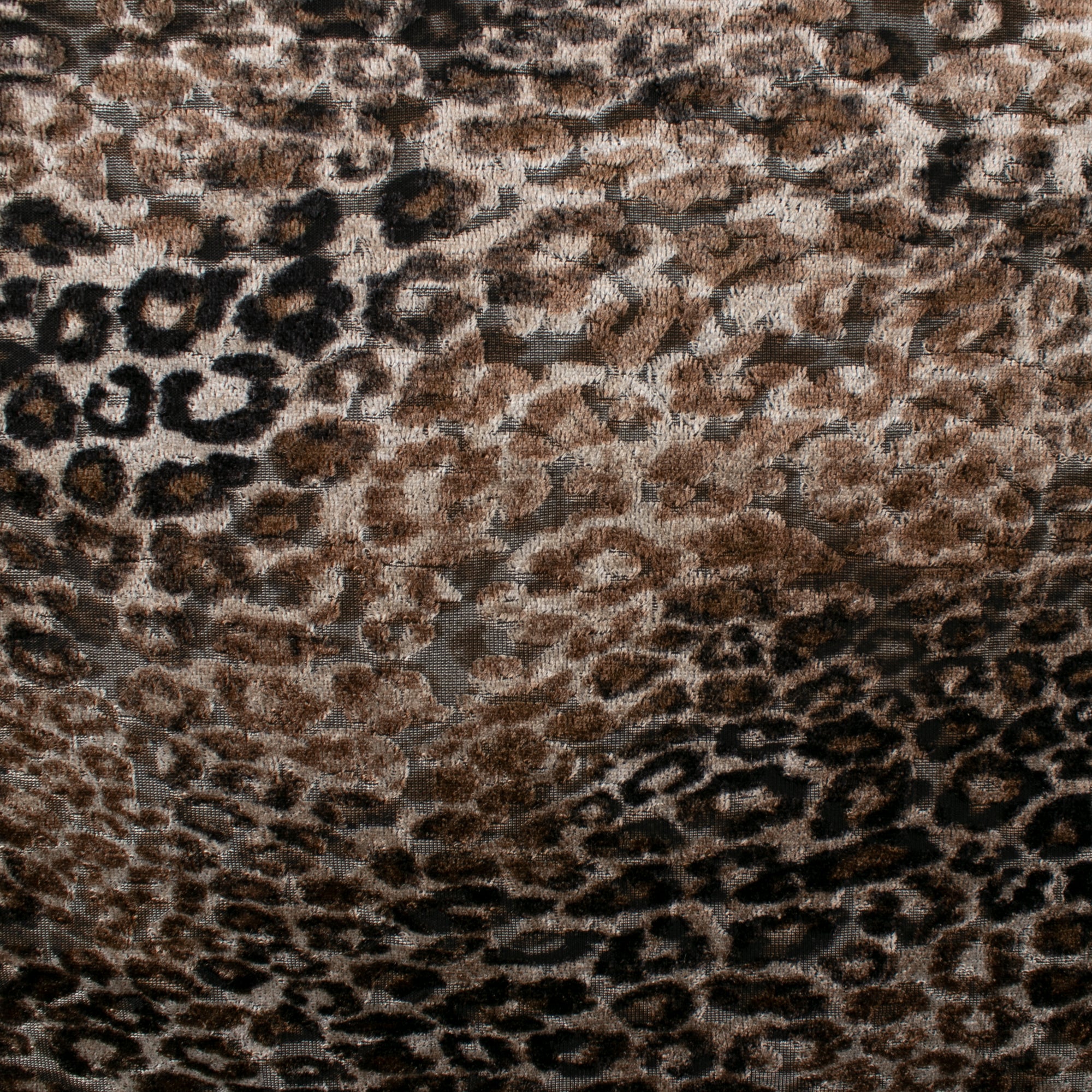 Tricot imprimé - NATURE SAUVAGE - Léopard - Brun mixte