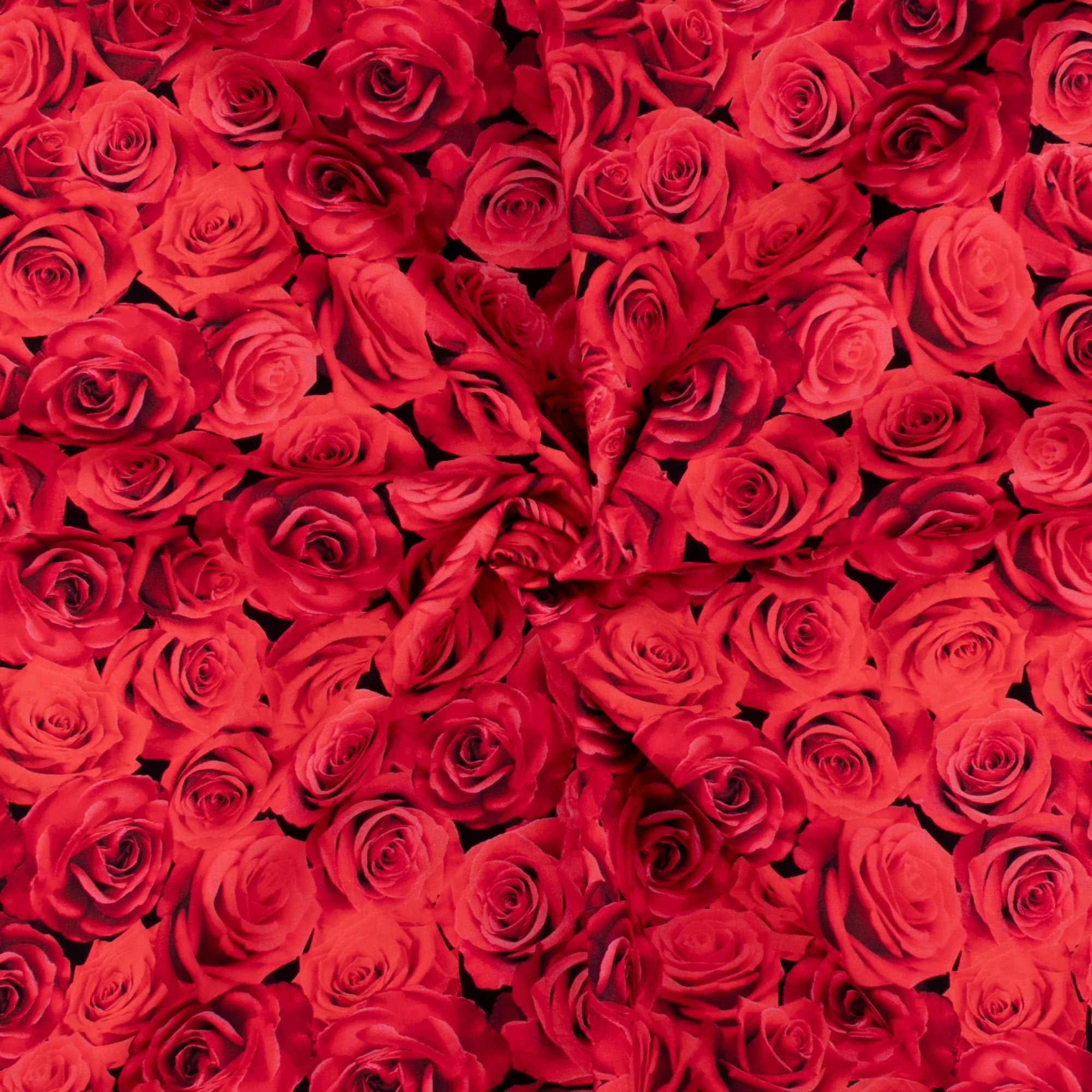 VALENTINE'S Printed Cotton - 036 - Red - Image 2