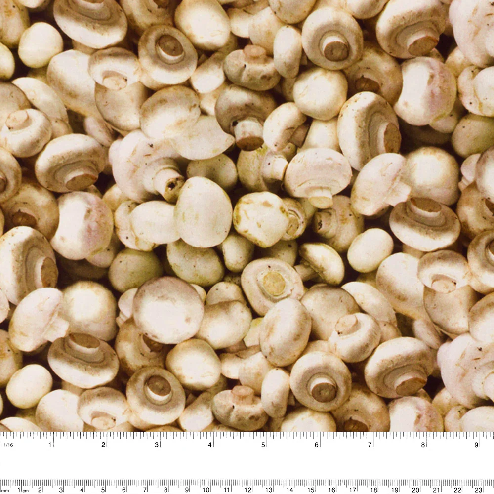 VEGETABLE GARDEN Printed Cotton - Mushroom - Beige - Image 3