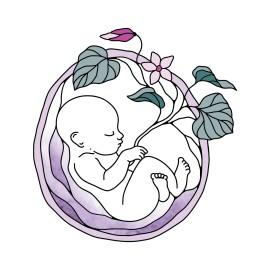 Violette_graphic