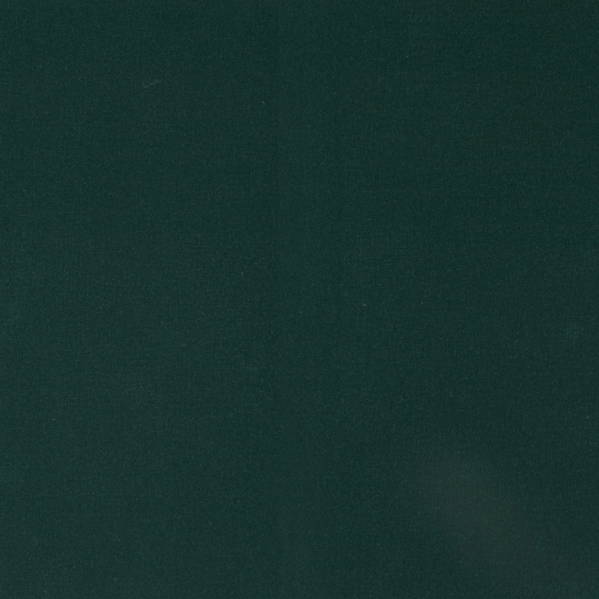 Waterproof waxed canvas - Teal Green